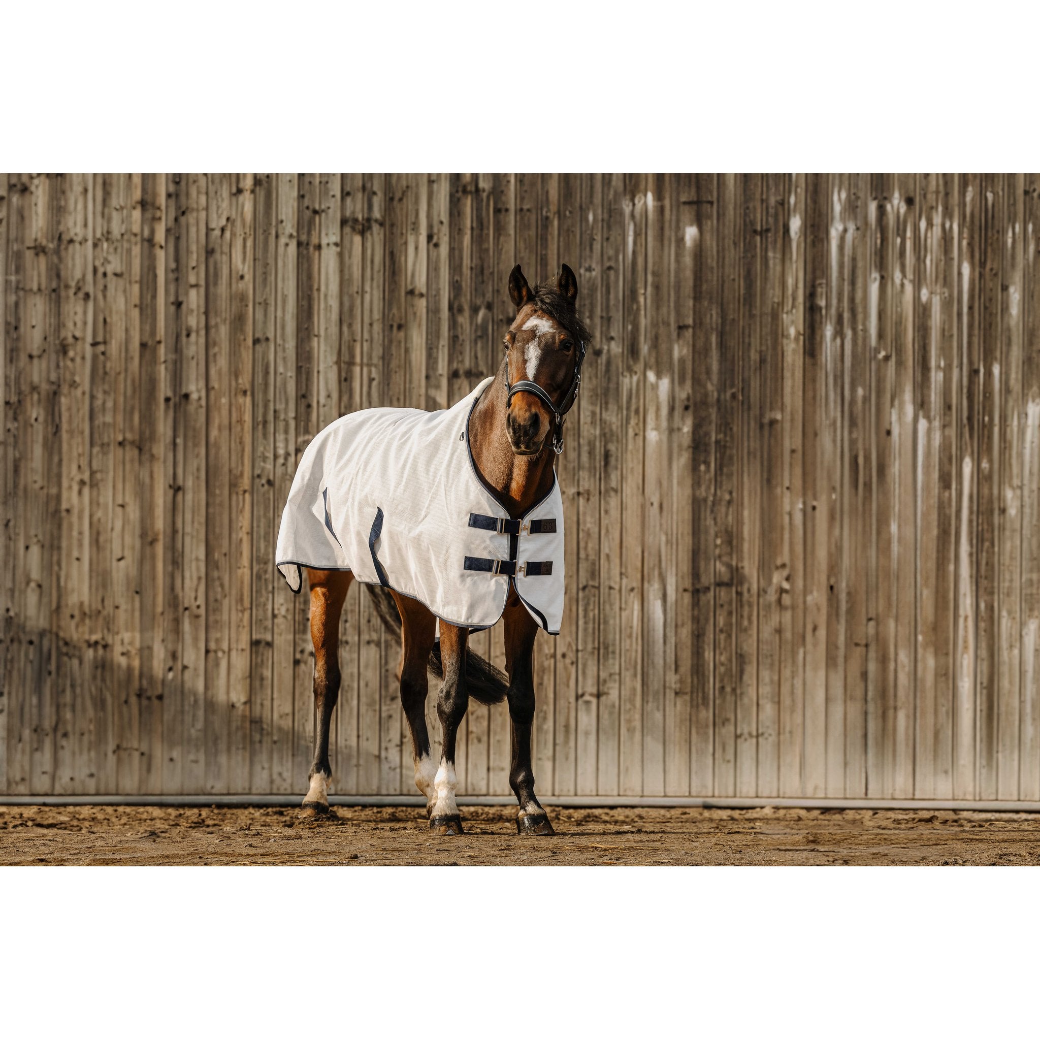Equithème PVC Anti UV-täcke
