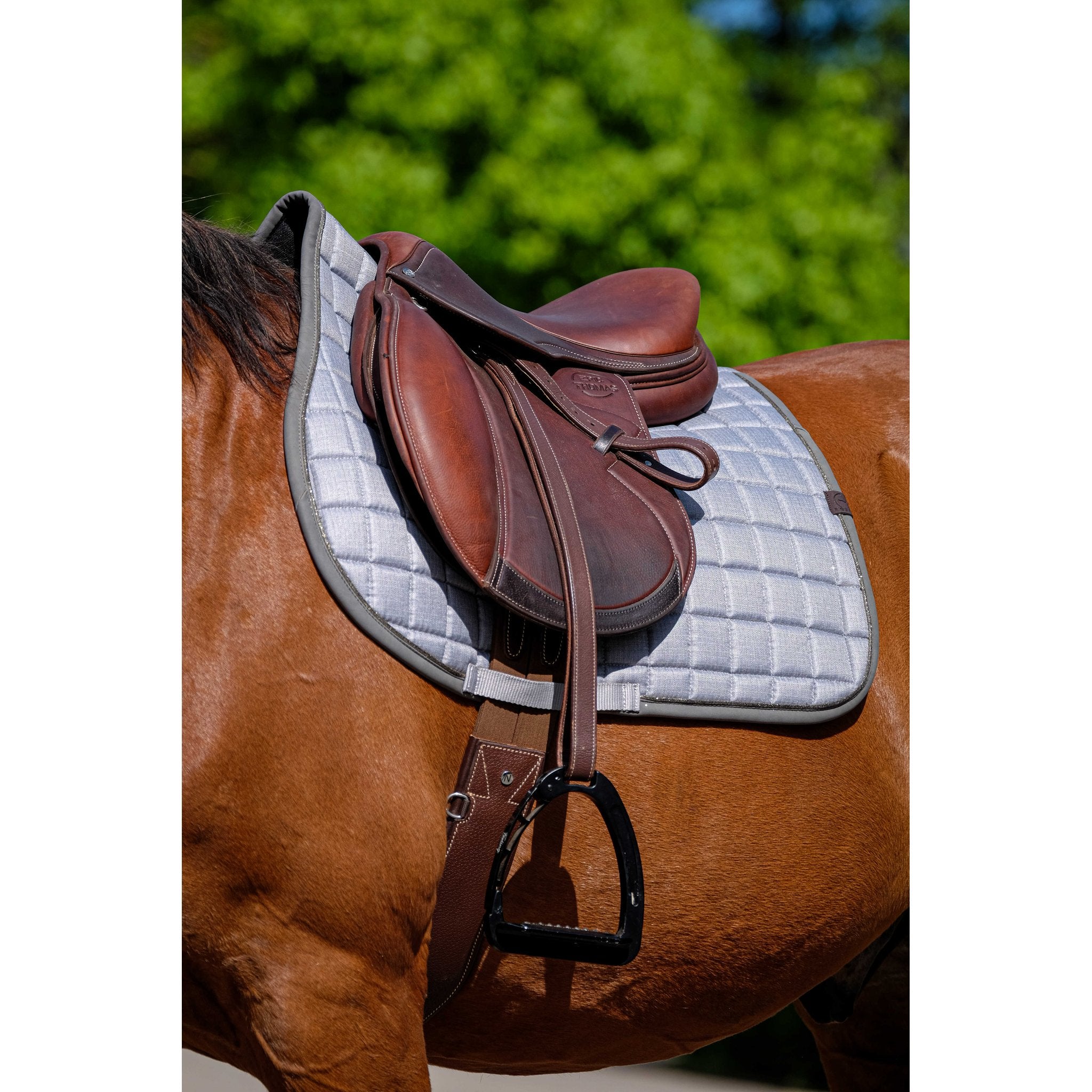 Equithème Chic Schabrak