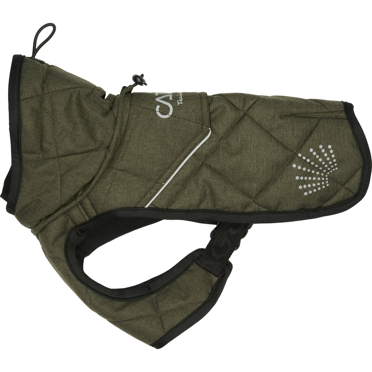 CATAGO Fir-Tech Trainer Dog rug