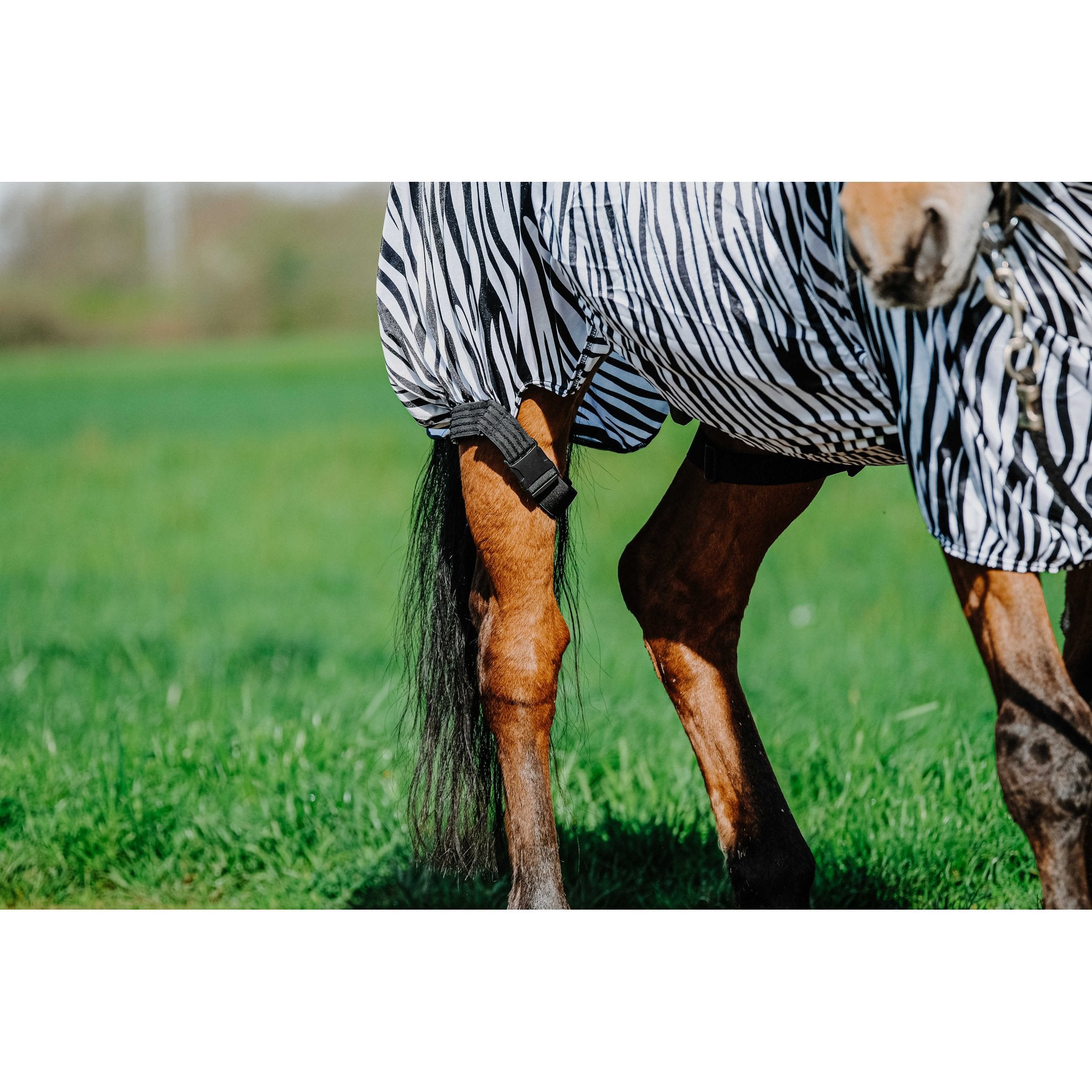 RIDING WORLD Anti-eksemtäcke zebra