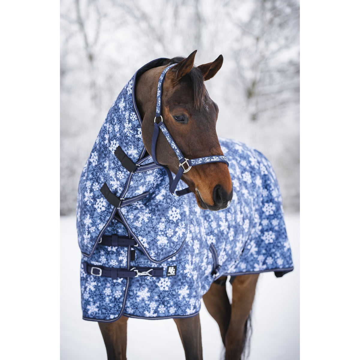 Horse Guard Snowflake-grimma
