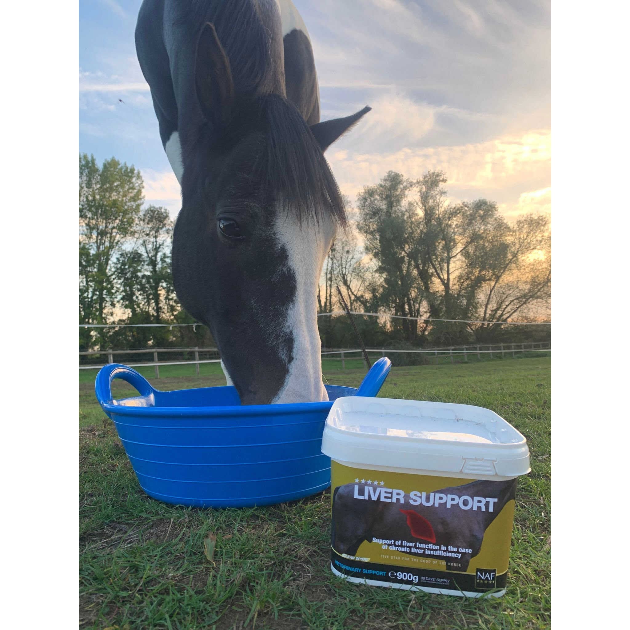 NAF Complementary Feed - Liver Support
