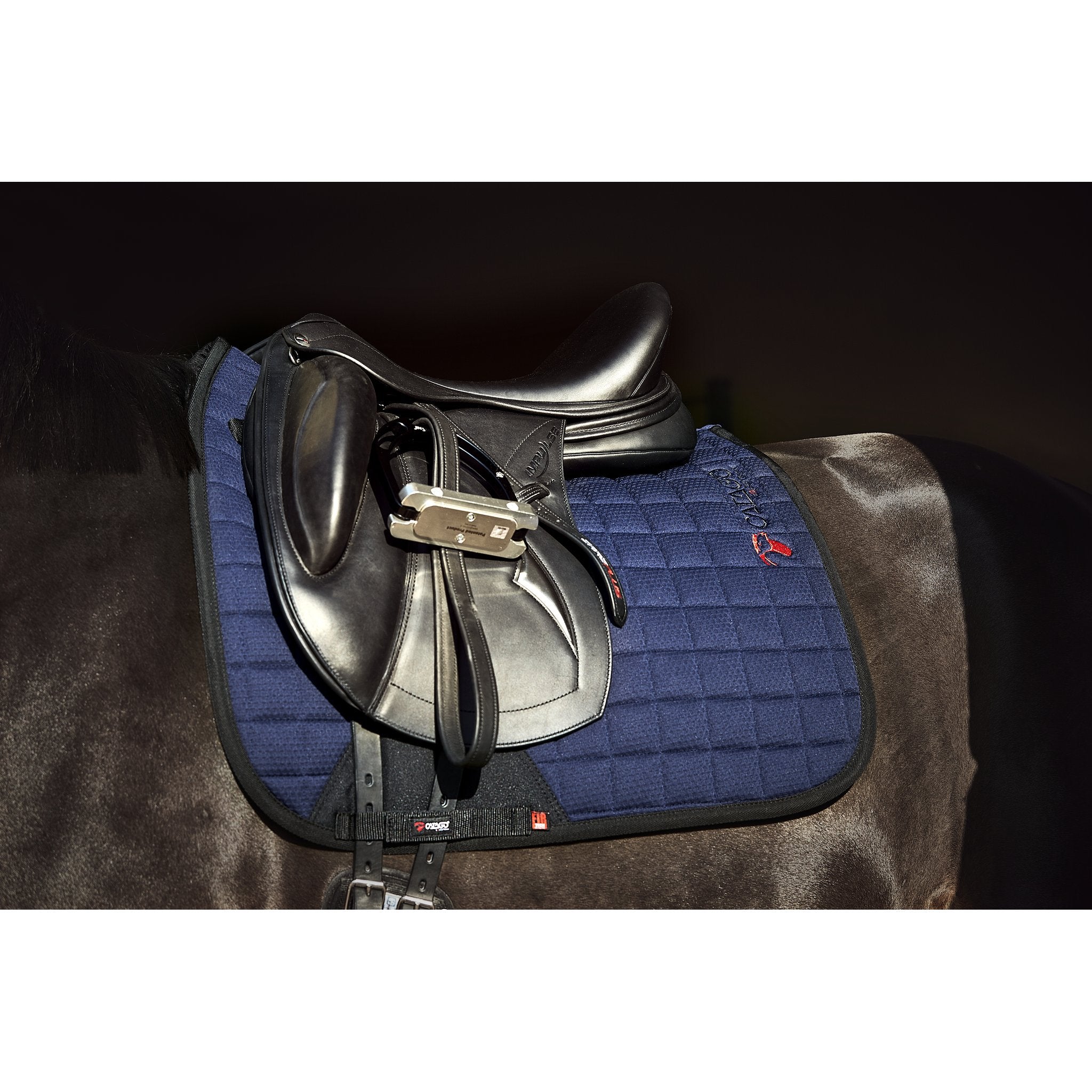 CATAGO FIR-TECH schabrak Dressyr