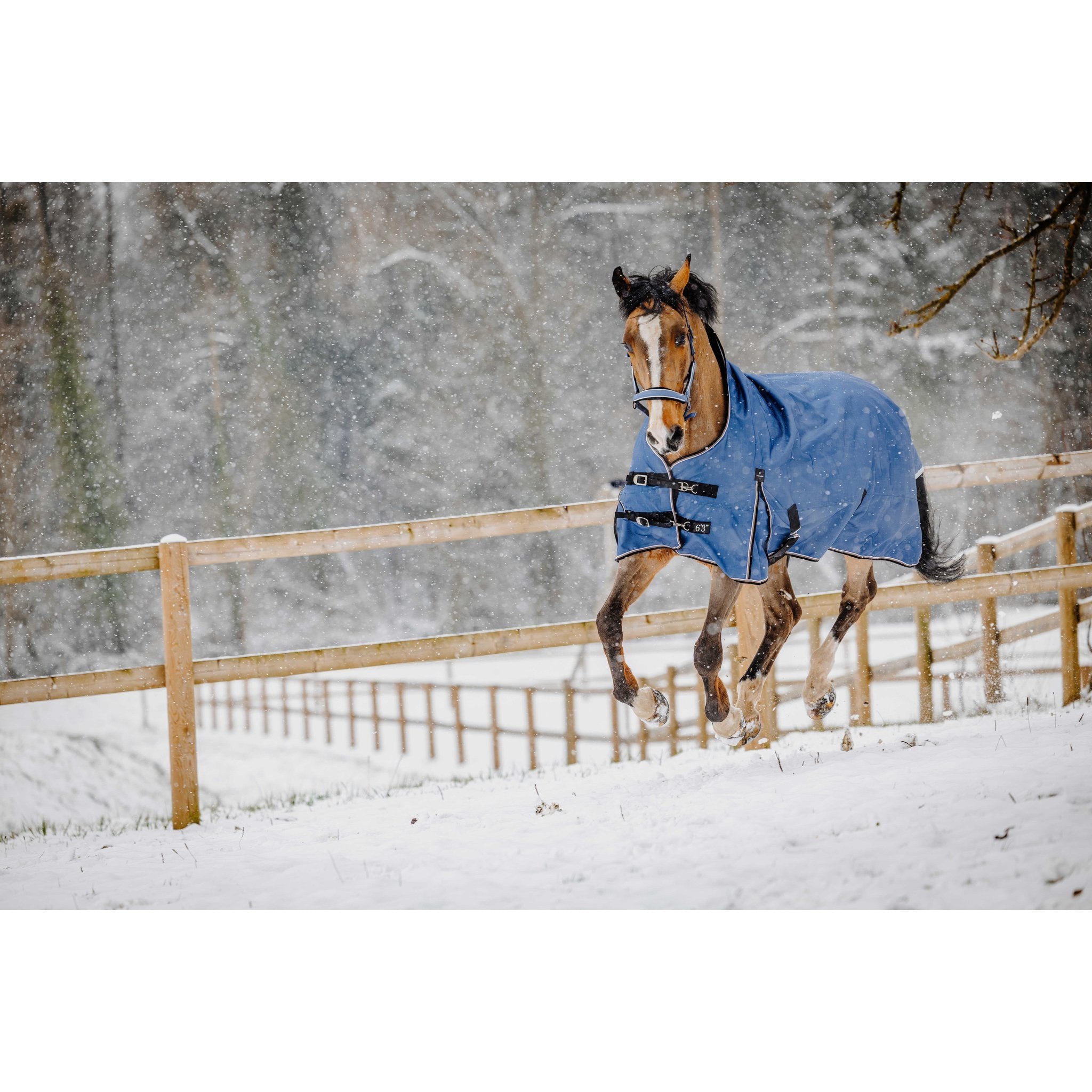 Equitheme Tyrex Aisance high neck, 150 g