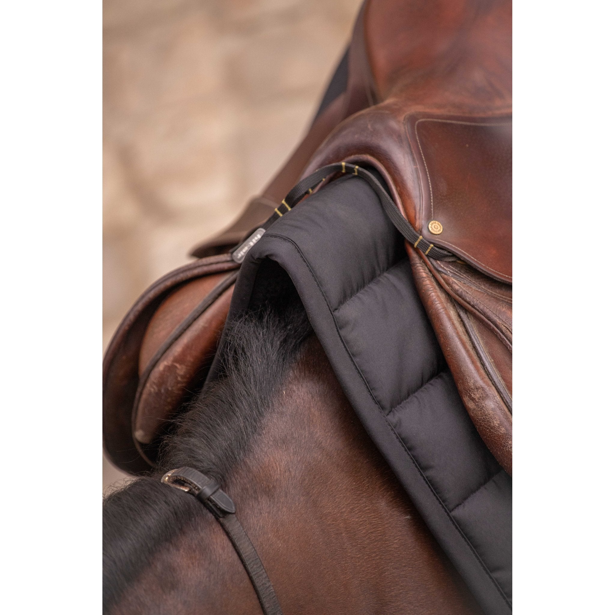 PADDOCK Big pad schabrak