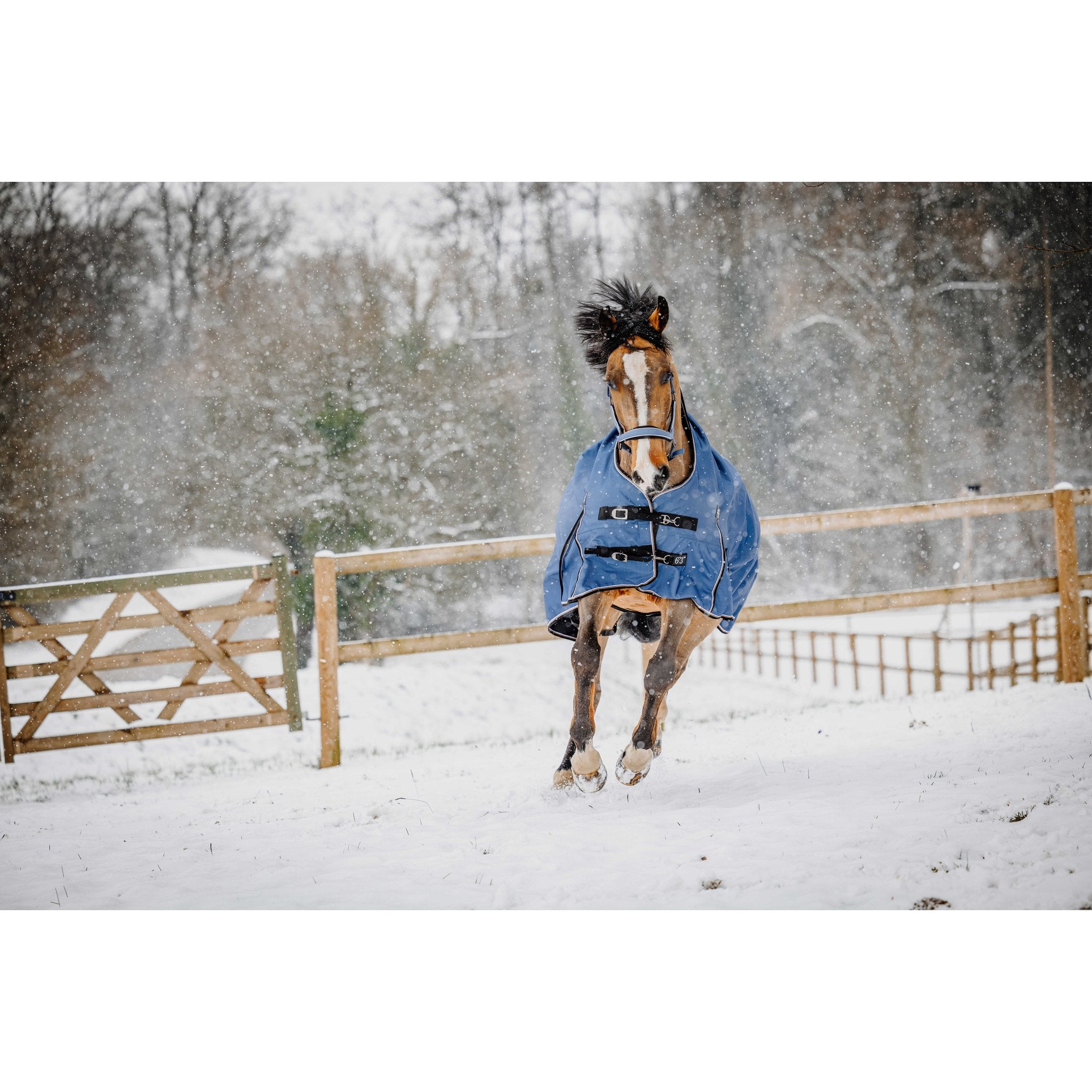 Equitheme Tyrex Aisance high neck, 150 g