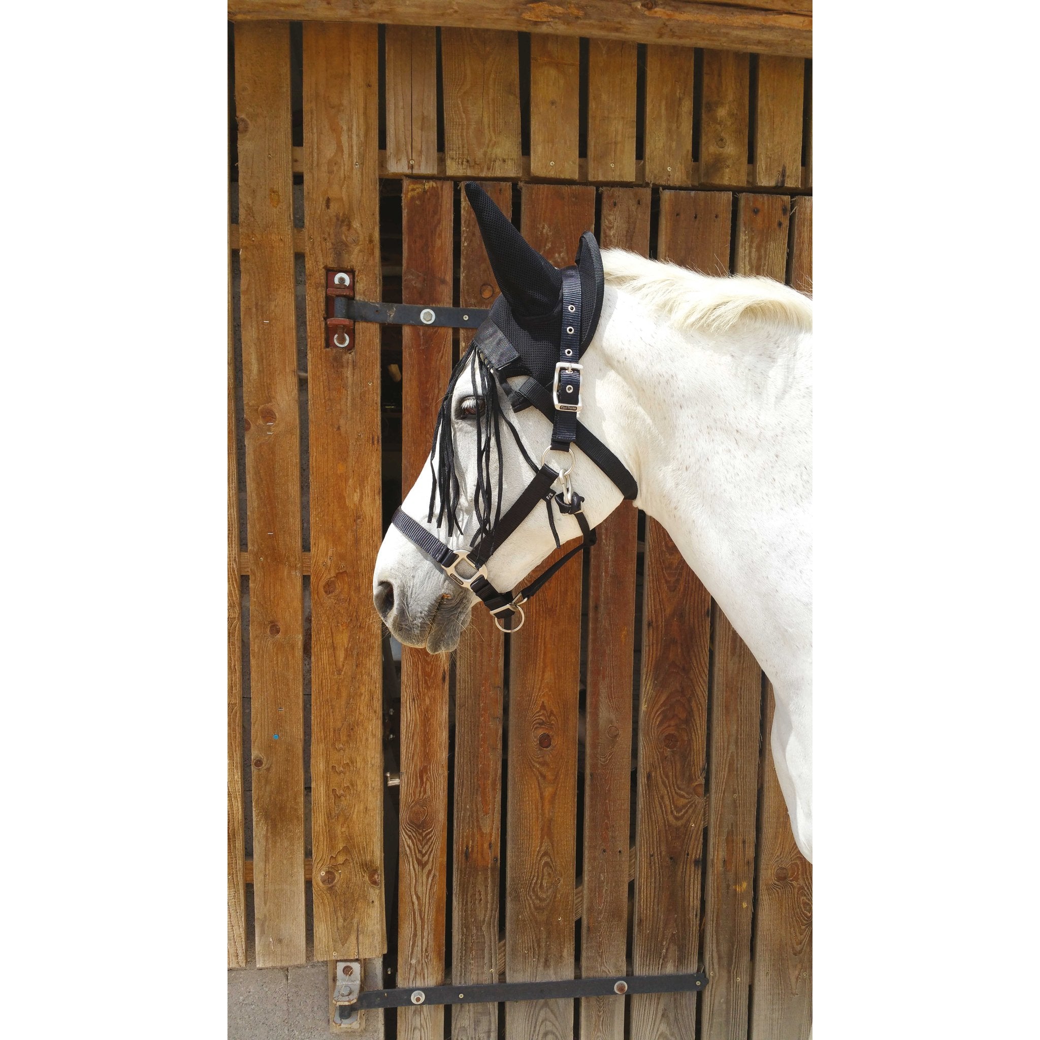 RIDING WORLD Flugluva med fransar