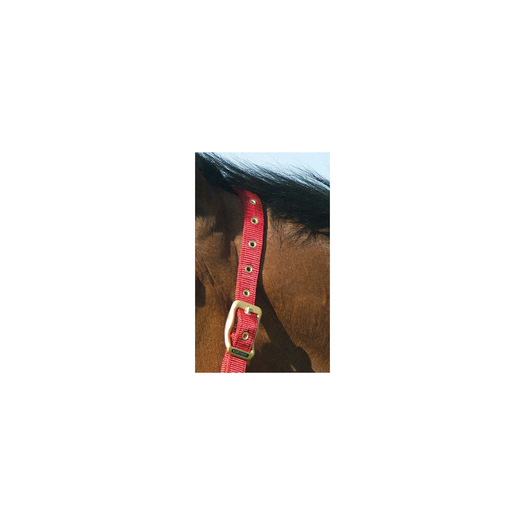 Equithème Nylon Grimma