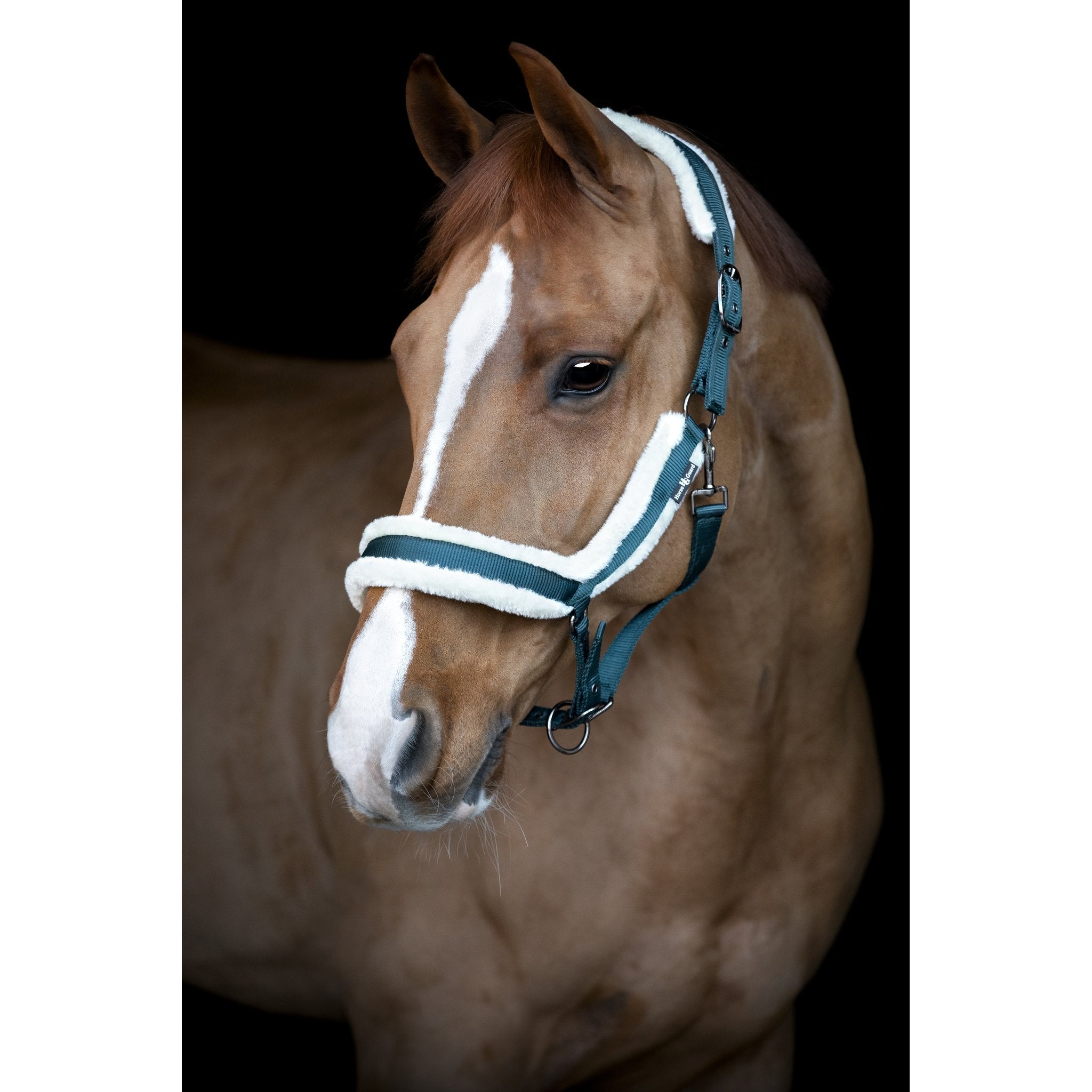 HorseGuard Anatomisk grimma med fuskpäls