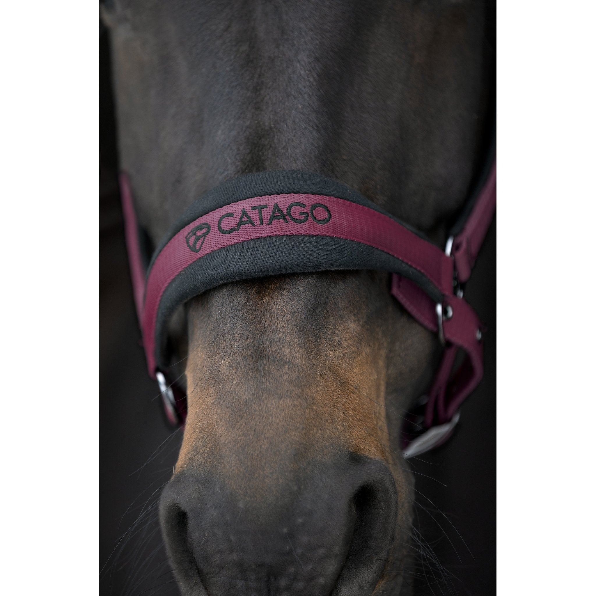 Catago FIR-Tech grimma 2.2