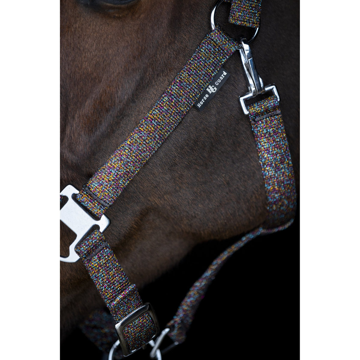 Horse Guard Jacksonville grimma
