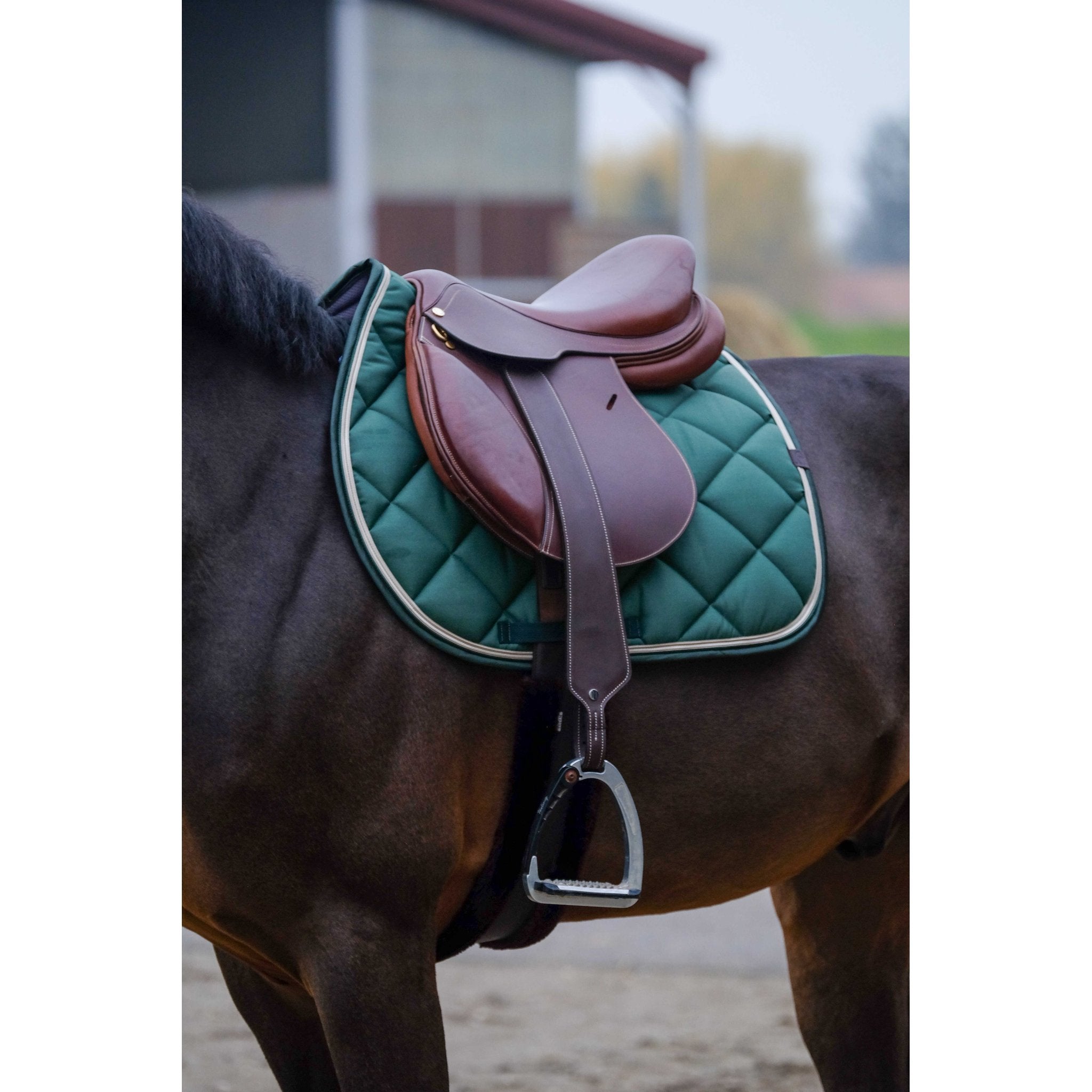 Equithème Classic Schabrak