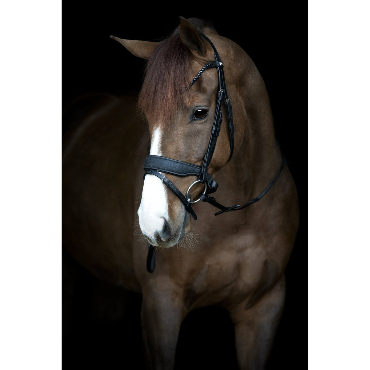 HorseGuard Cryll 24.2 träns med flash och pullback
