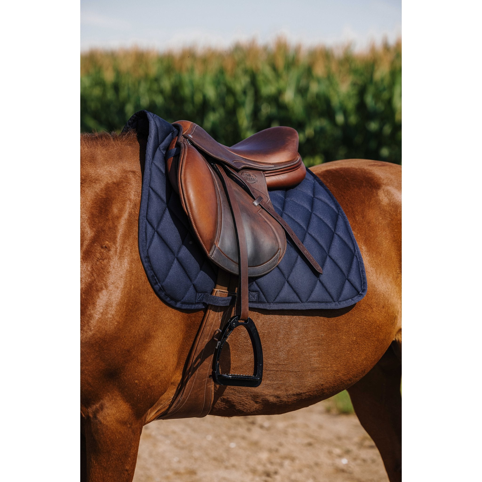 RIDING WORLD School Hoppschabrak