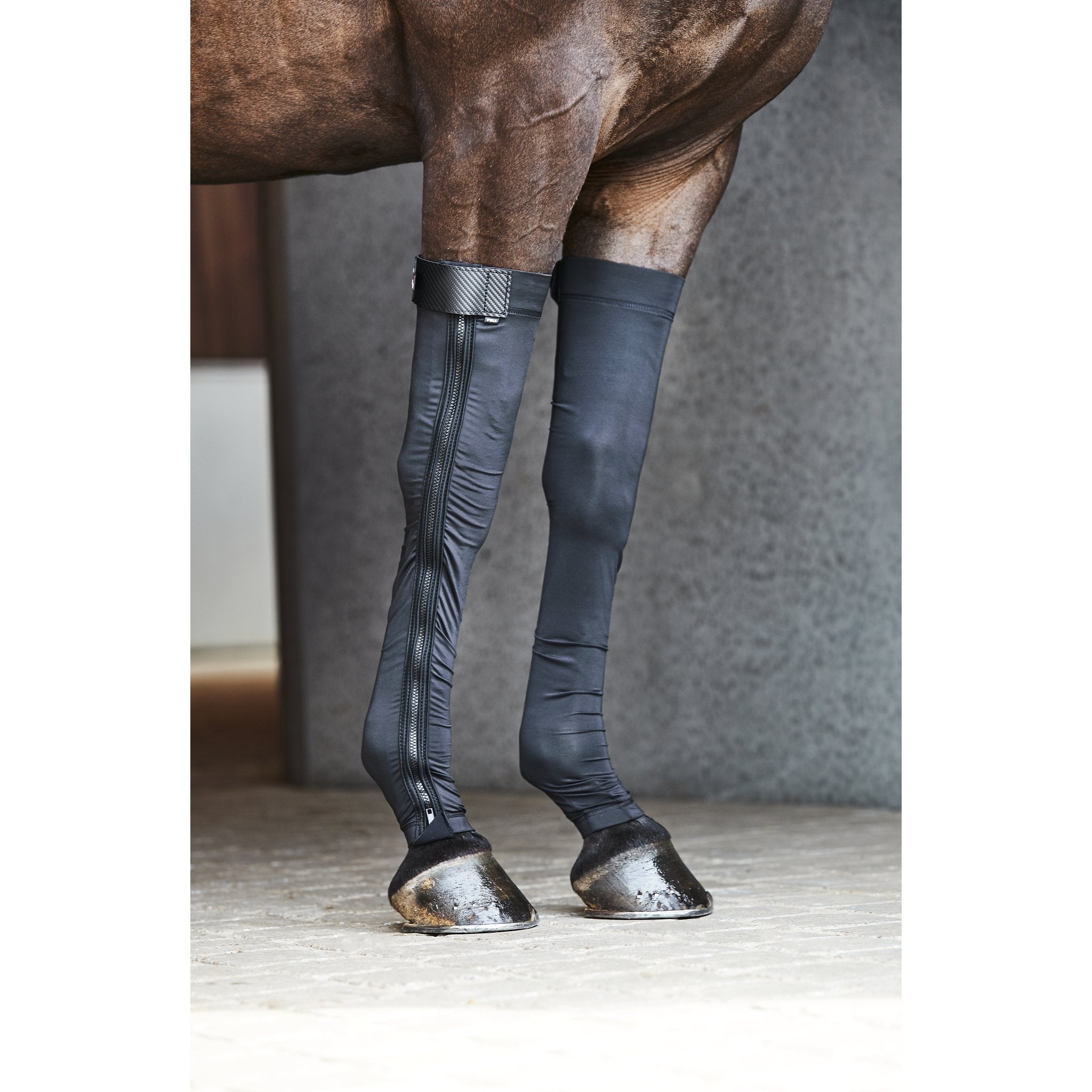 CATAGO FIR-Tech Stocking framben