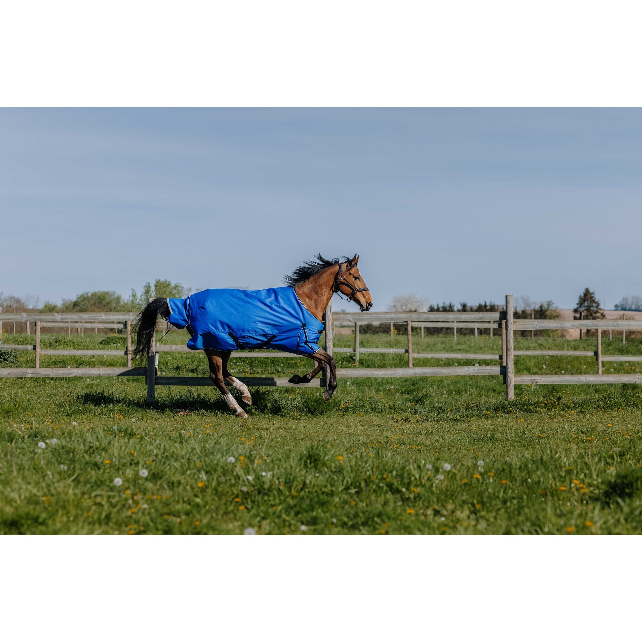 Equithème TYREX Aisance 1200D Turnout täcke 0 g