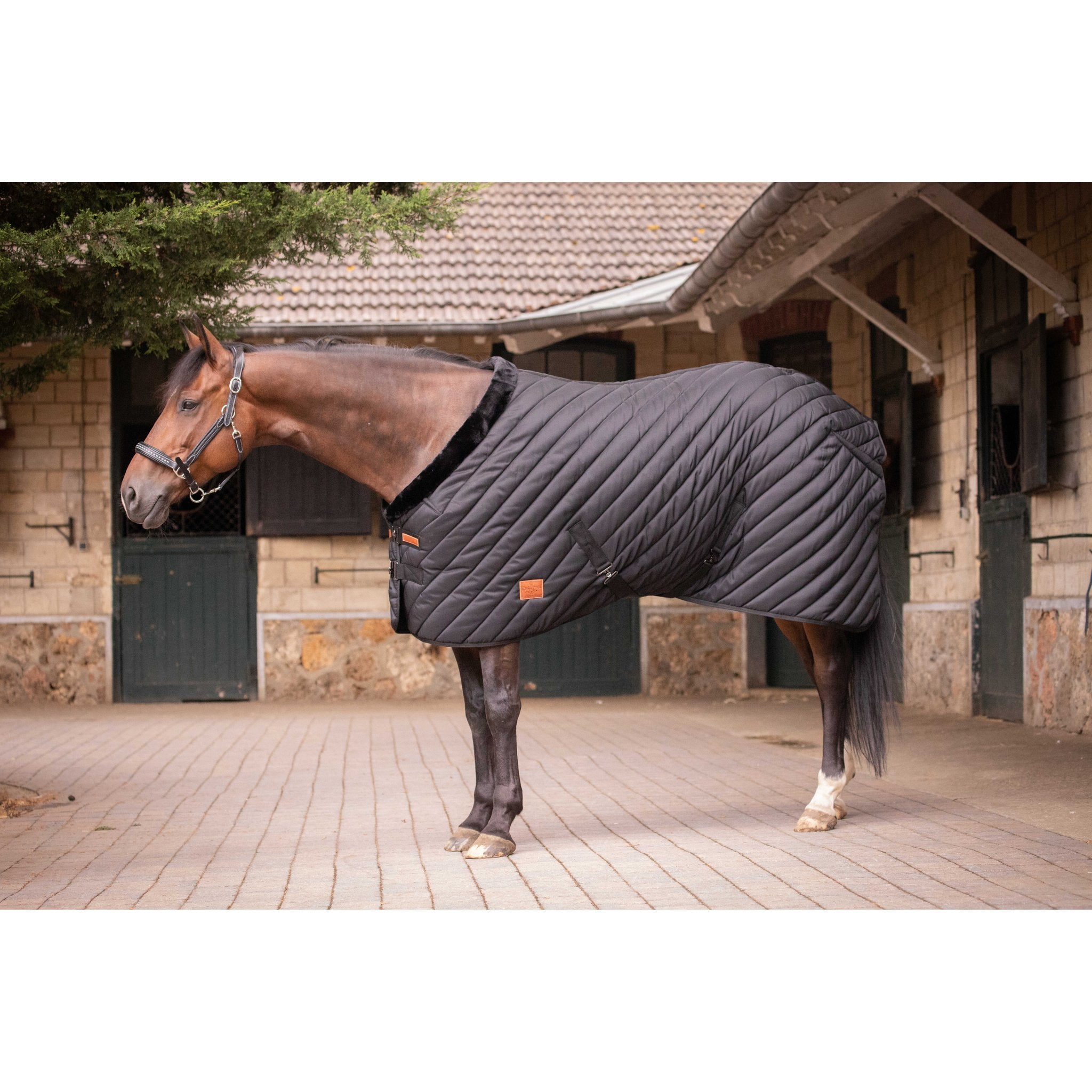 PADDOCK Stalltäcke 400 g