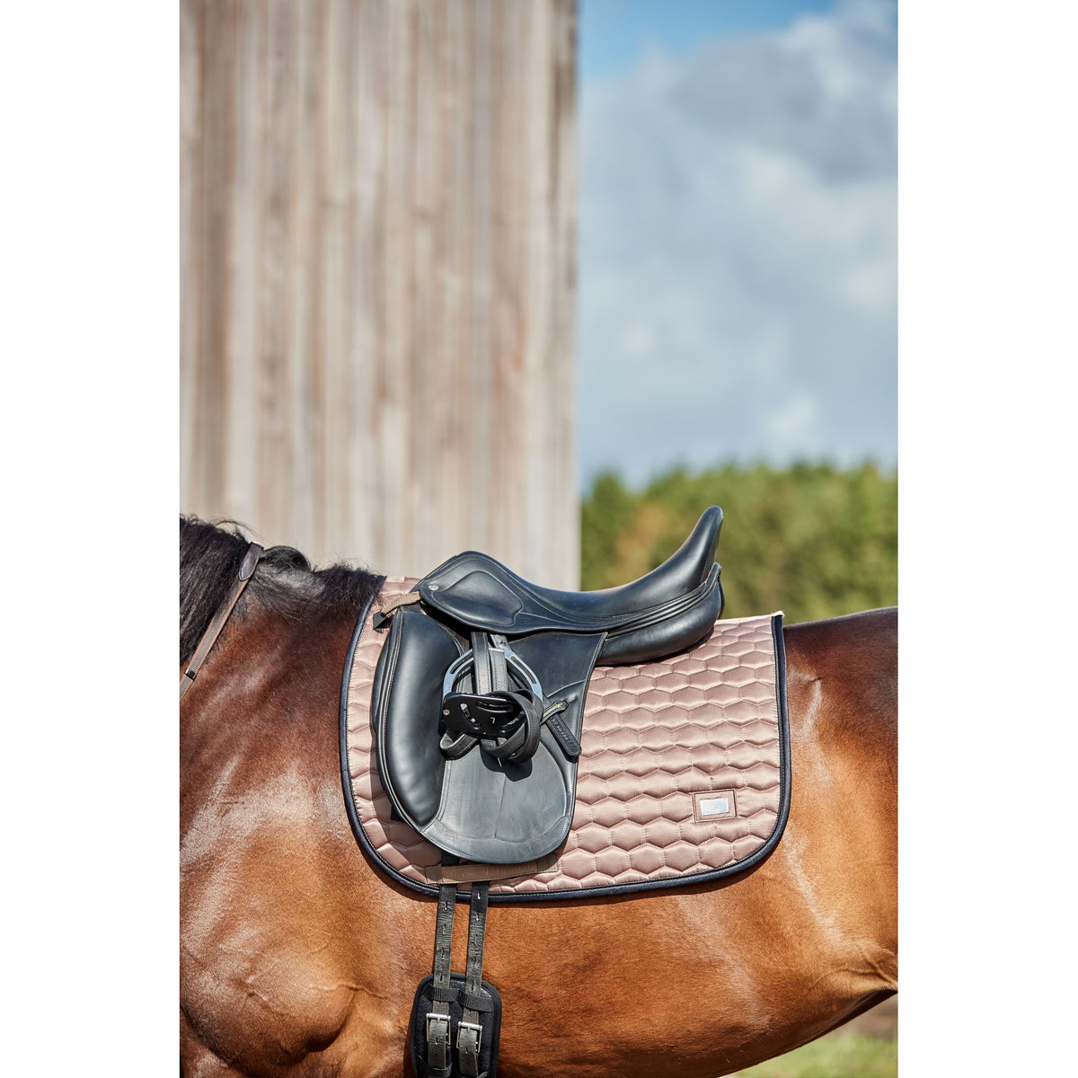 HorseGuard Kora schabrak