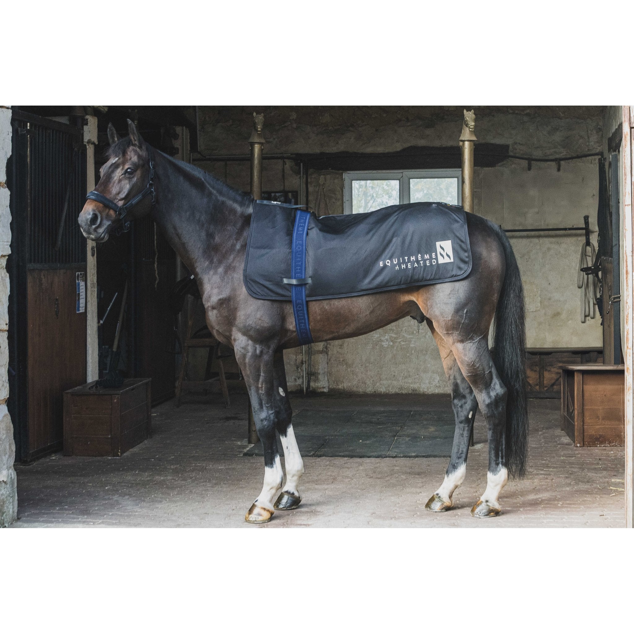 Equitheme Heated ryggvärmare