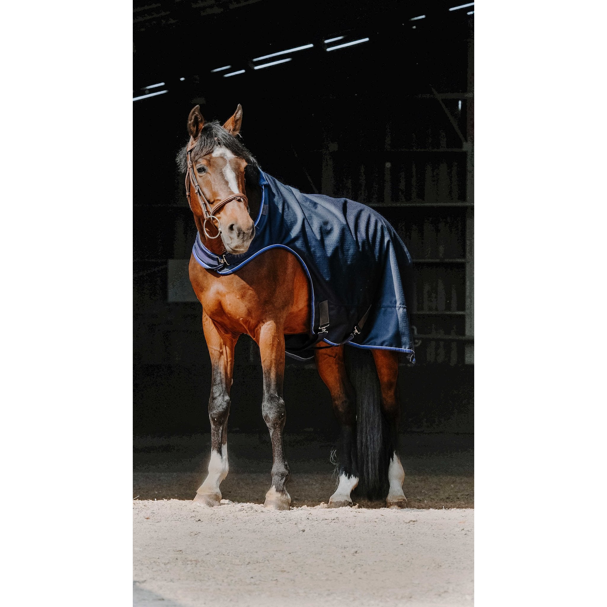 Equithème Classic Walkertäcke