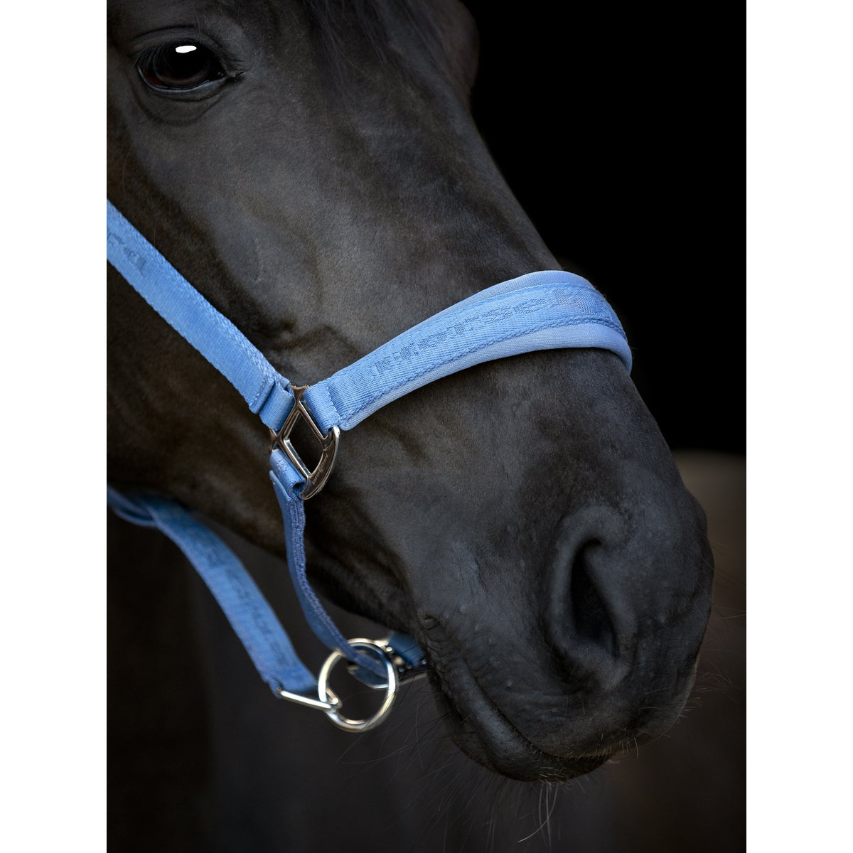 HorseGuard Diya 2.0 grimma