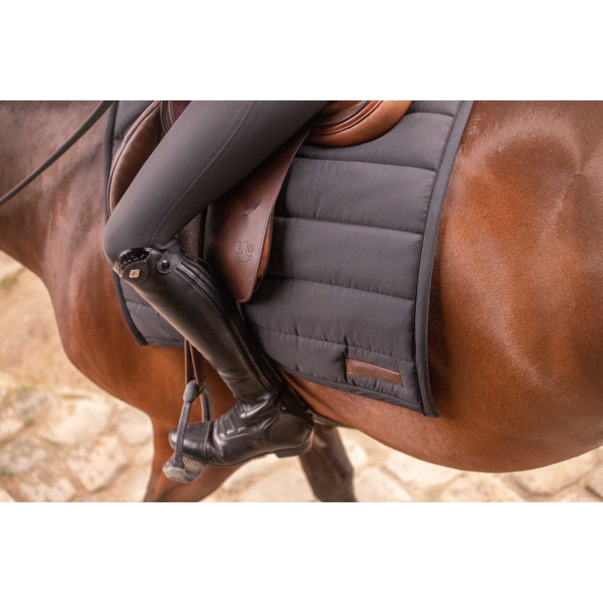 PADDOCK Big pad schabrak