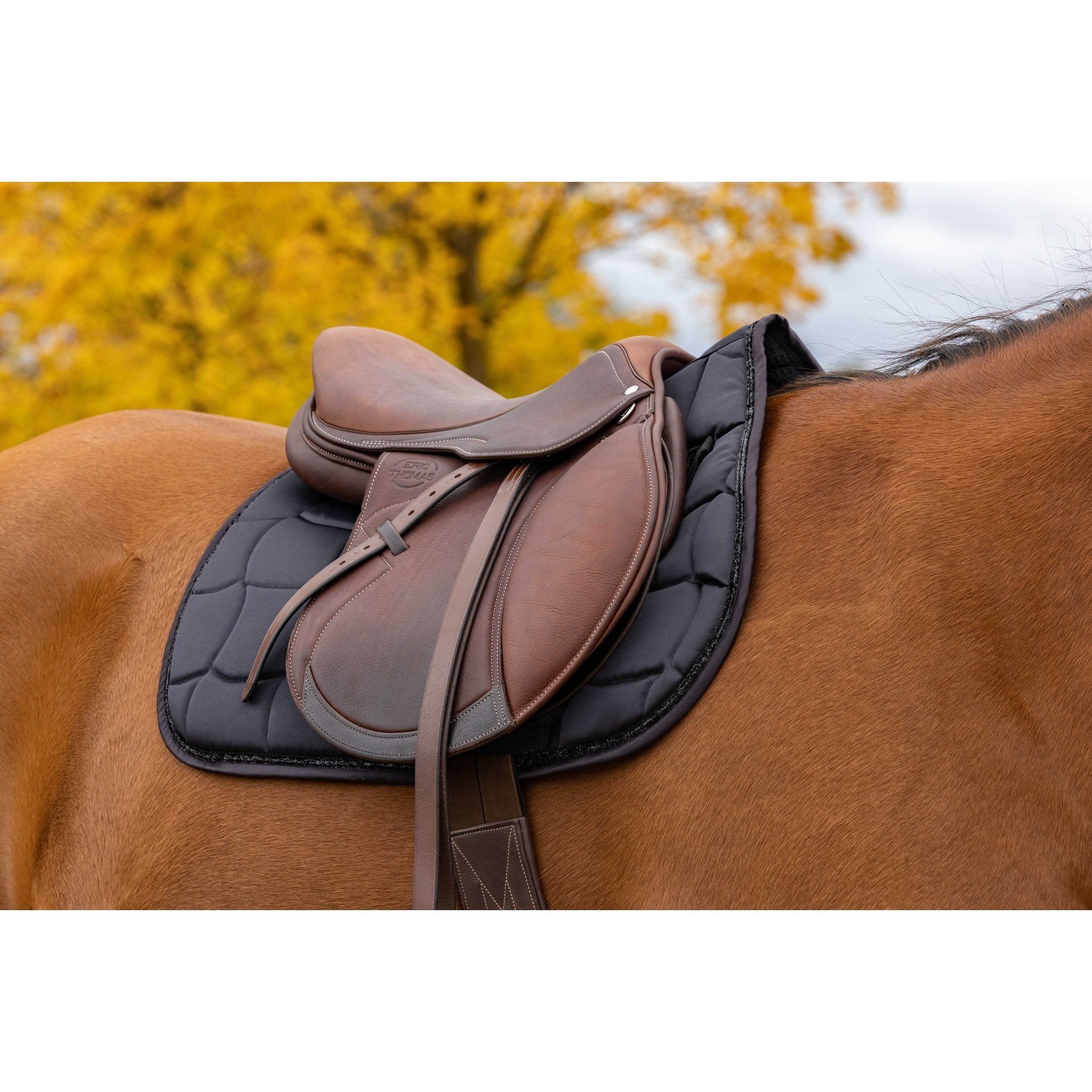 Equithème Satin Schabrak