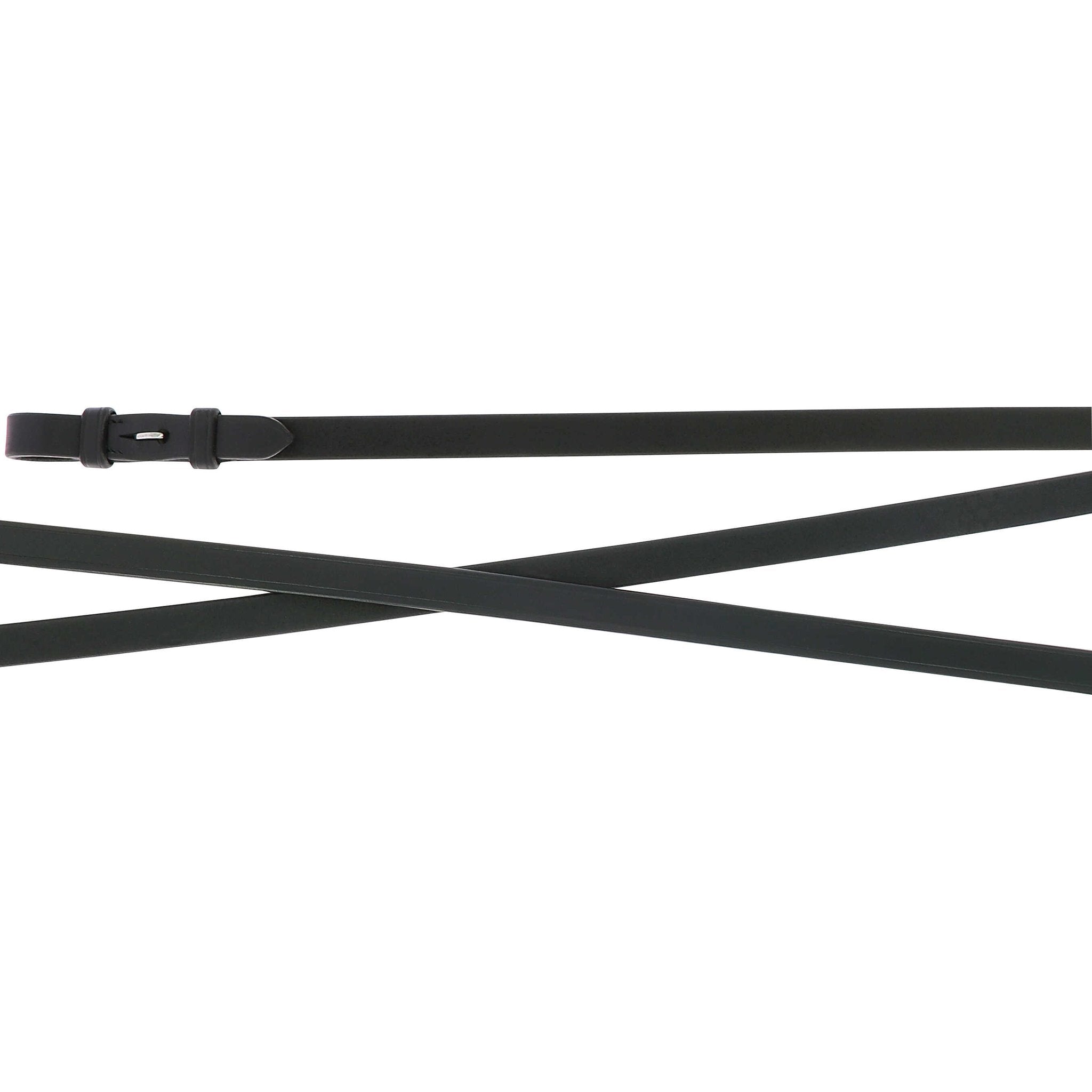 Eric Thomas Hybrid Snaffle bit-tyglar