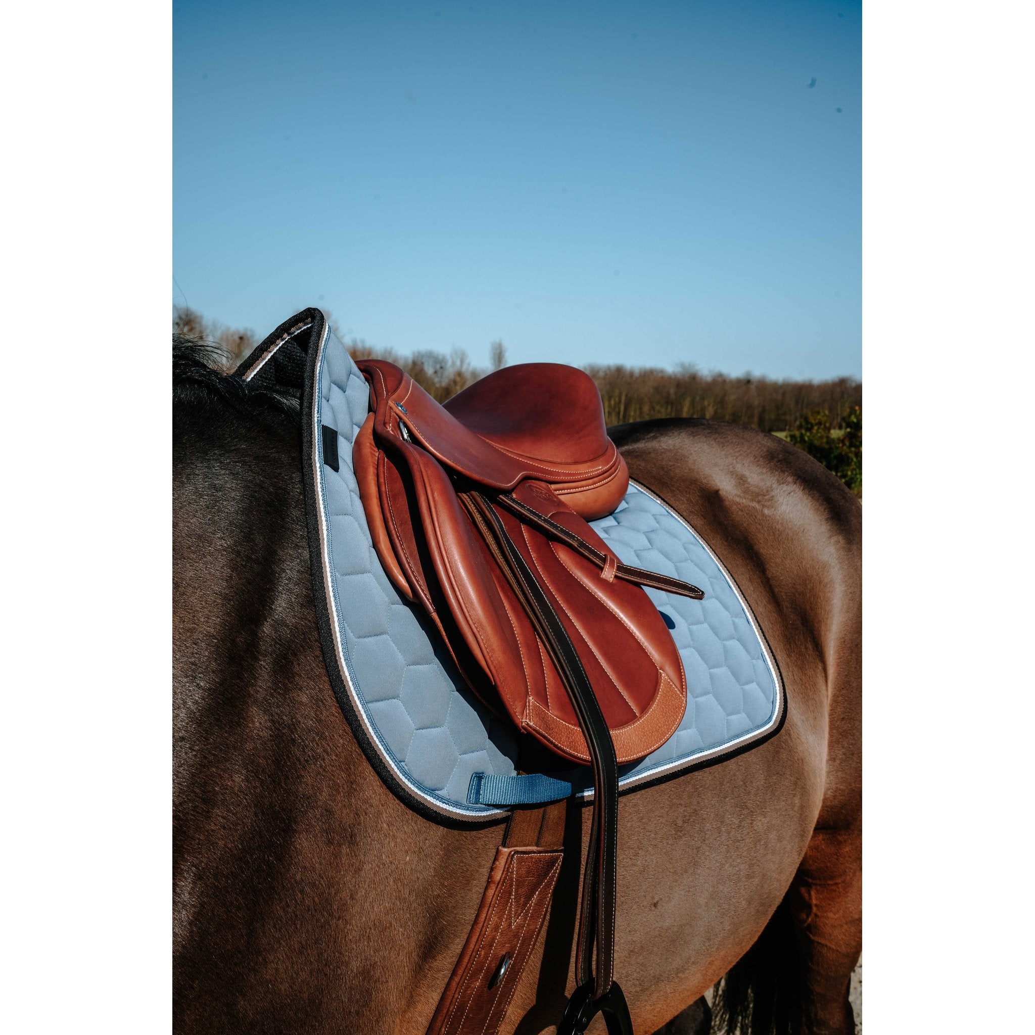 Equitheme Coco schabrak