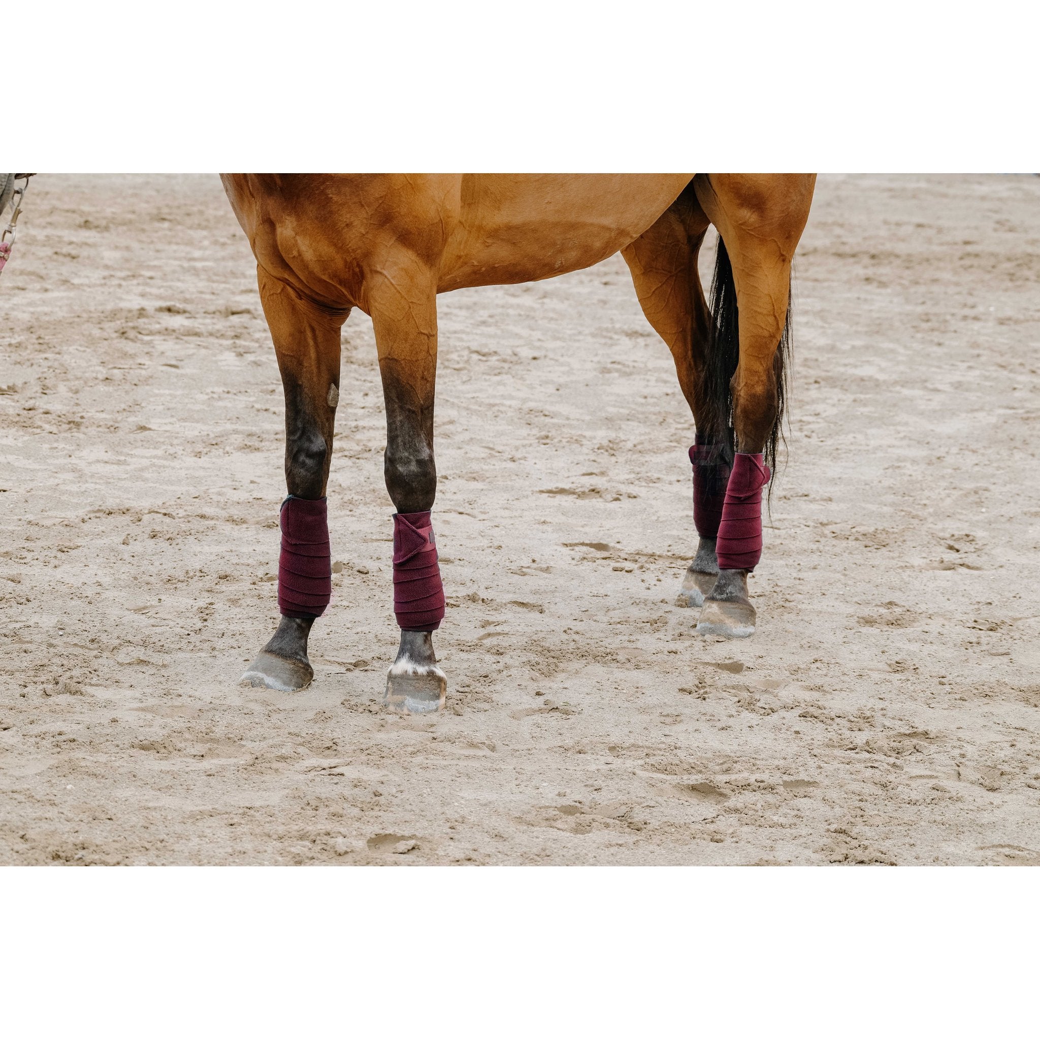 Equithème Polo lindor