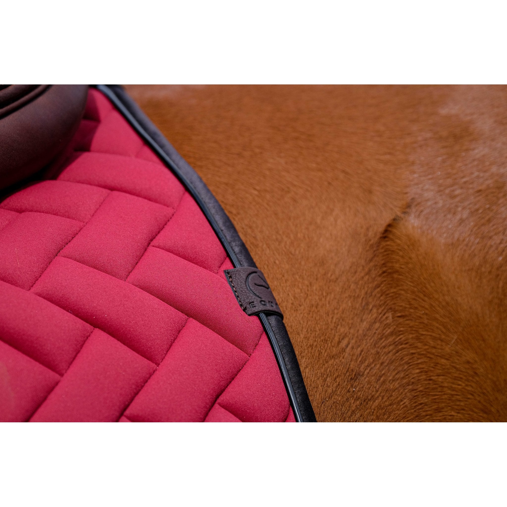 Equithème Impulsion Schabrak