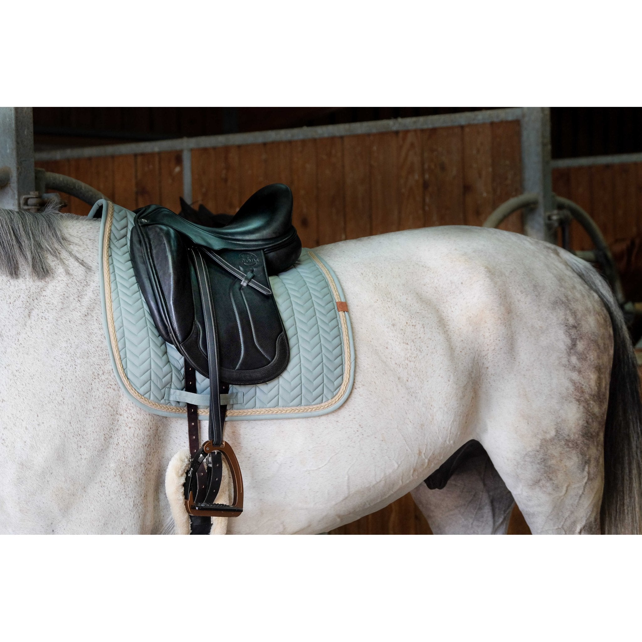Equithème Softy Schabrak dressyr
