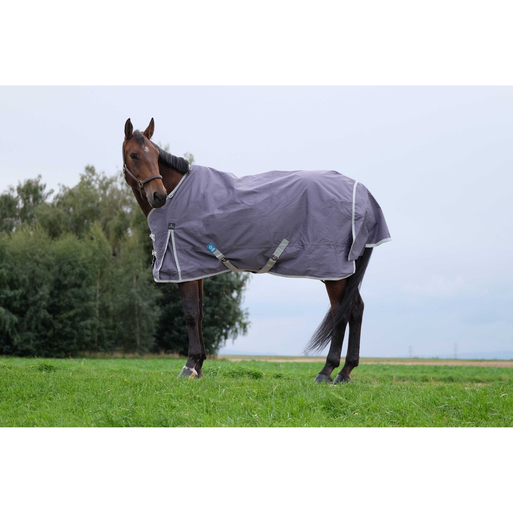 Equithème TYREX 1200D Återvunnet Turnout täcke 150 g