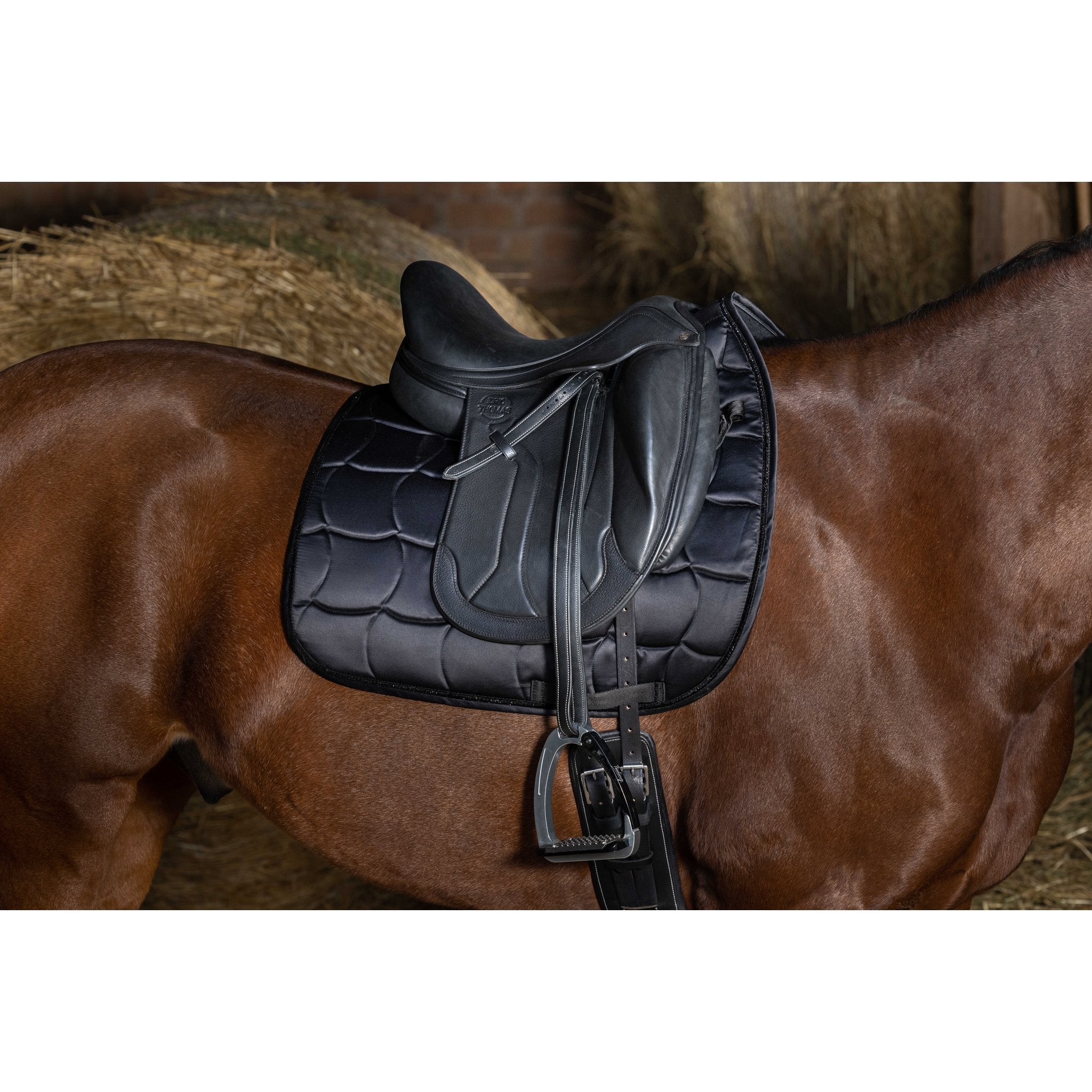 Equithème Satin Schabrak dressyr