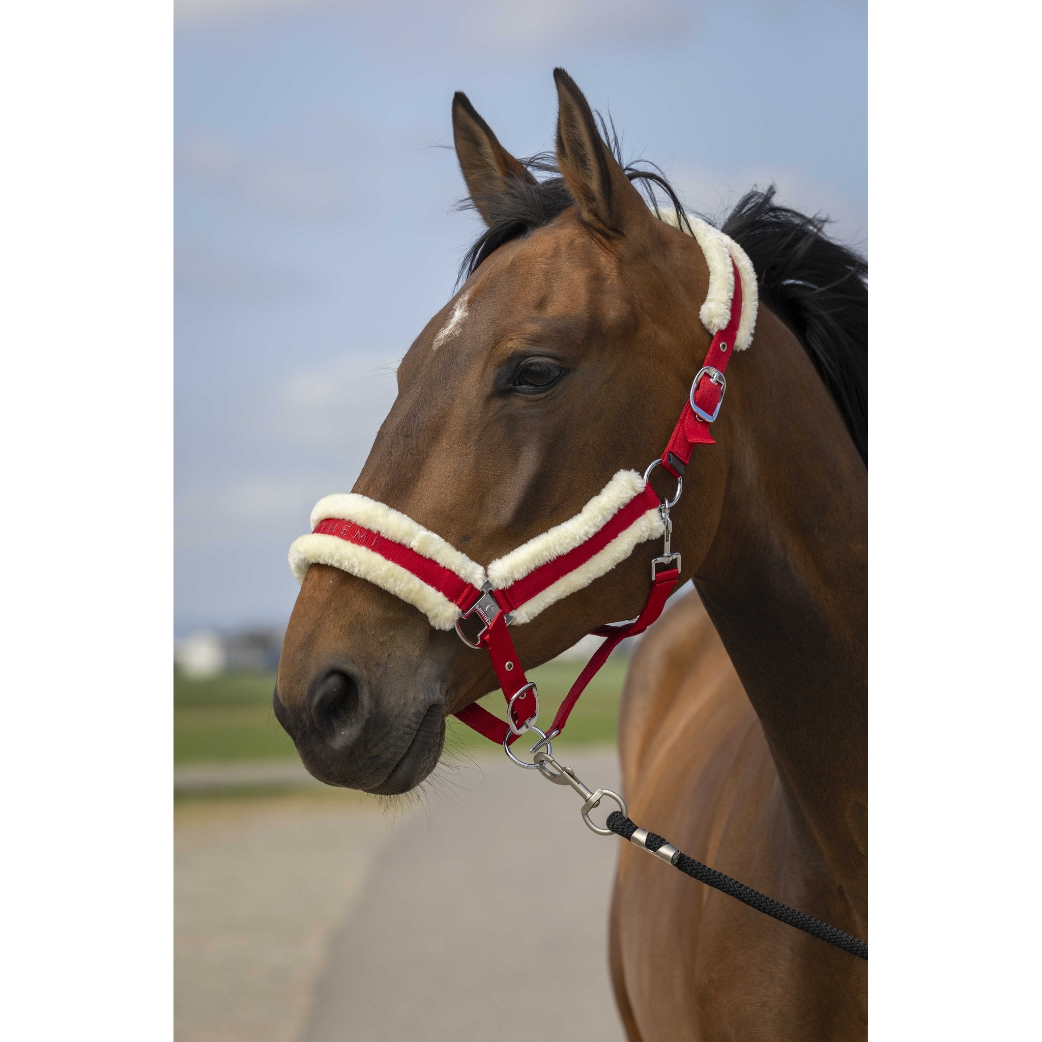 Equithème Nylon Mouton Grimma