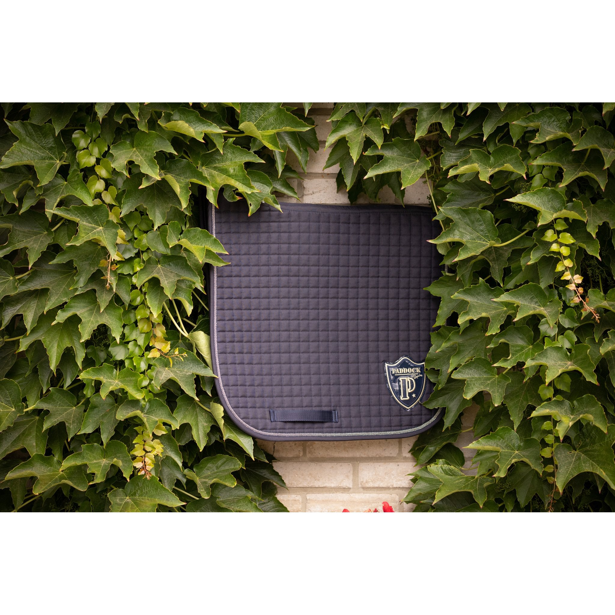 PADDOCK American dressage schabrak