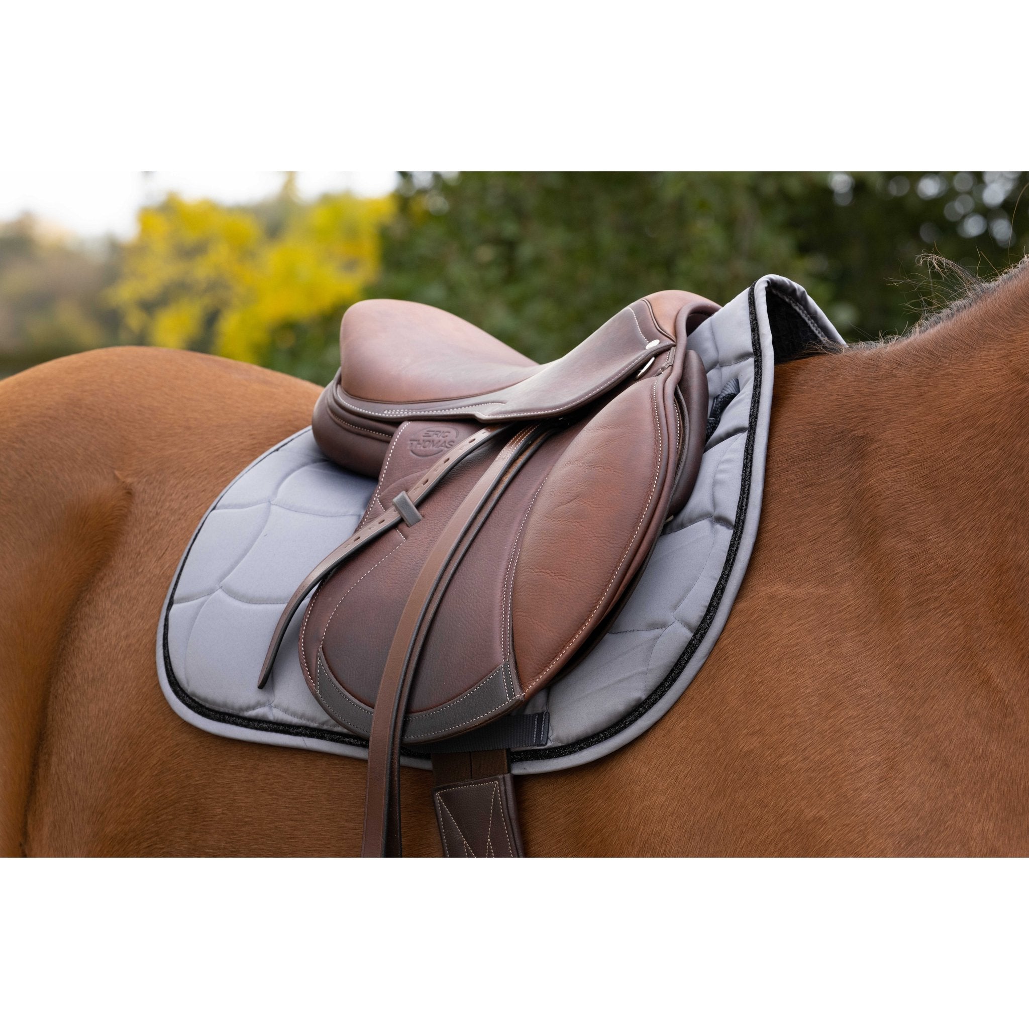 Equithème Satin Schabrak