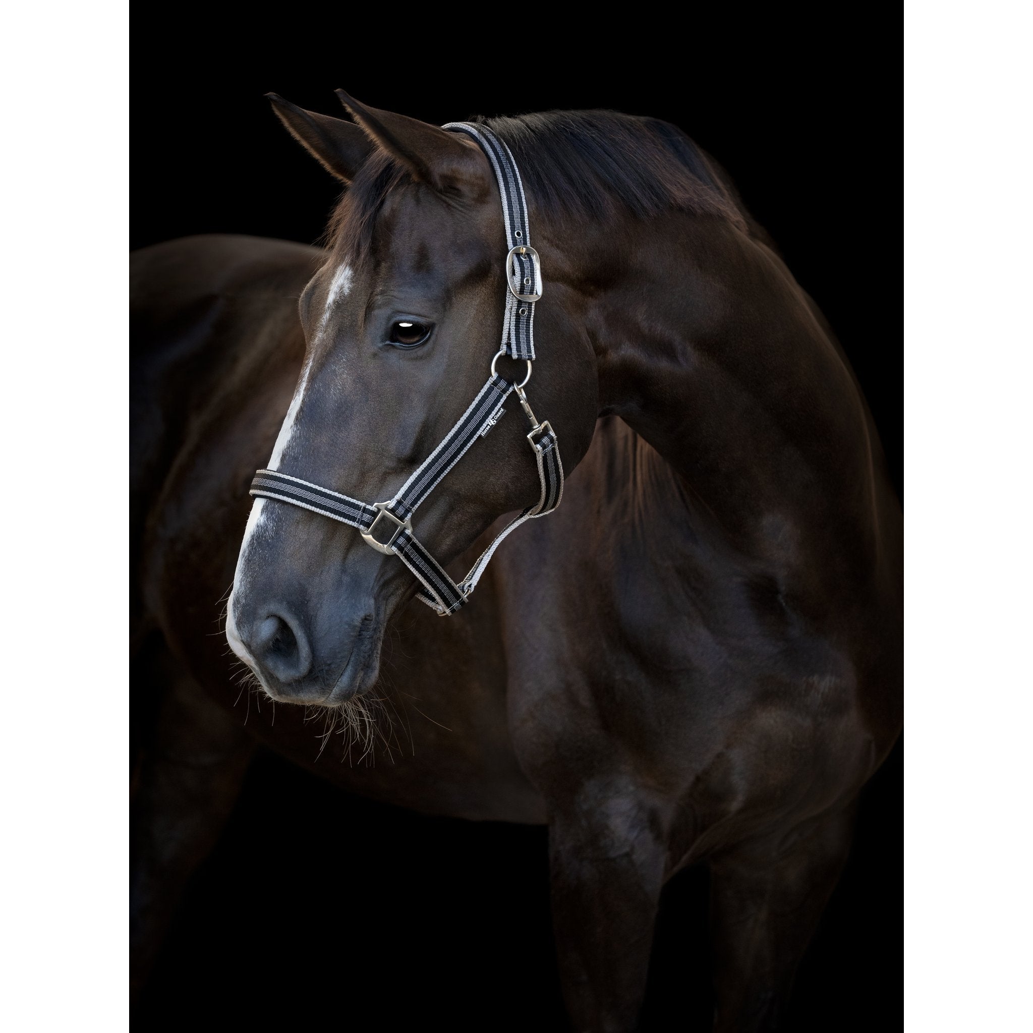 HorseGuard Taro grimma