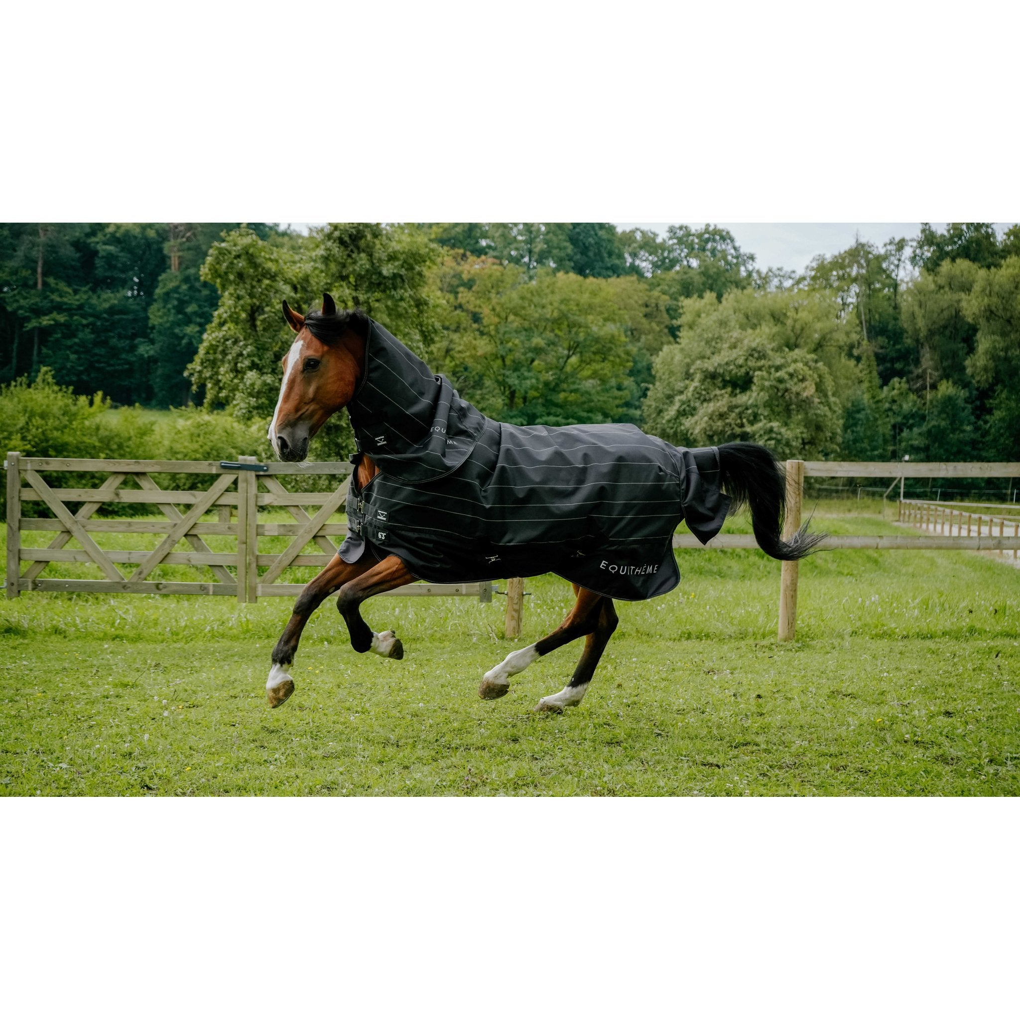Equitheme TYREX Lumin 600D Övergångstäcke 50g