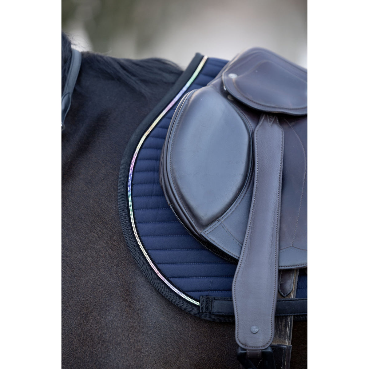 Horse Guard Bellingham allroundschabrak