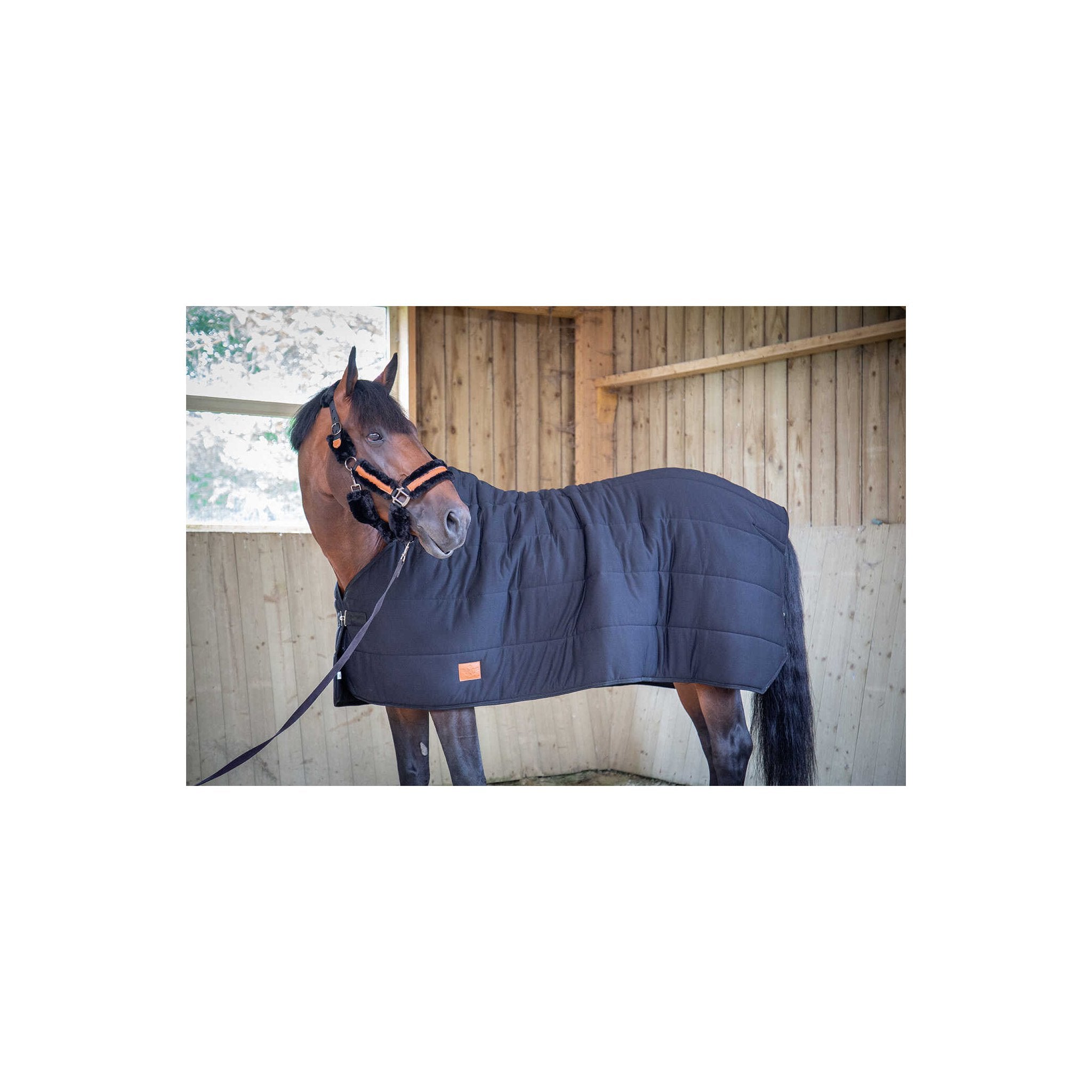 PADDOCK undertäcke 200 g