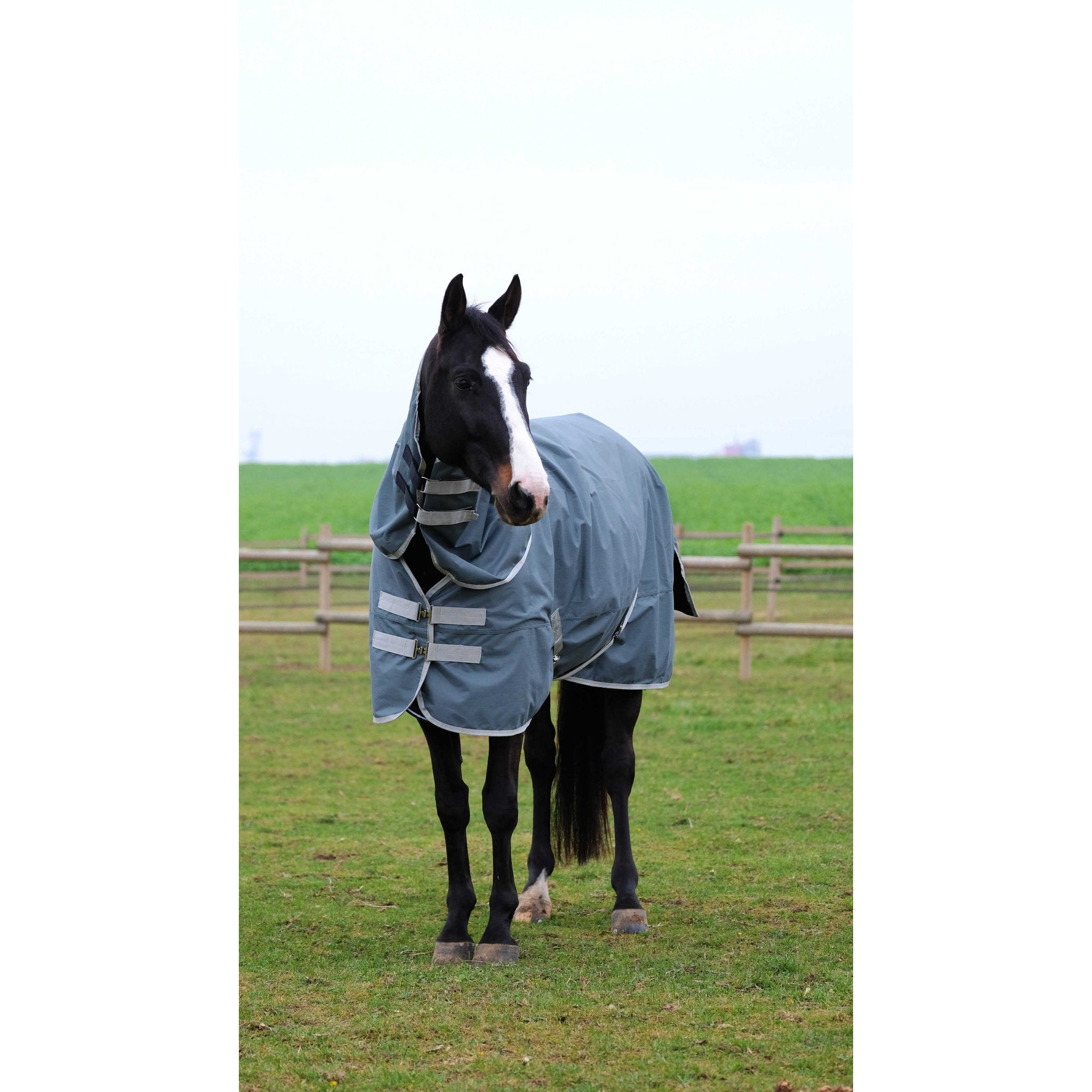 Equithème TYREX 600D återvunnet utetäcke 150 g
