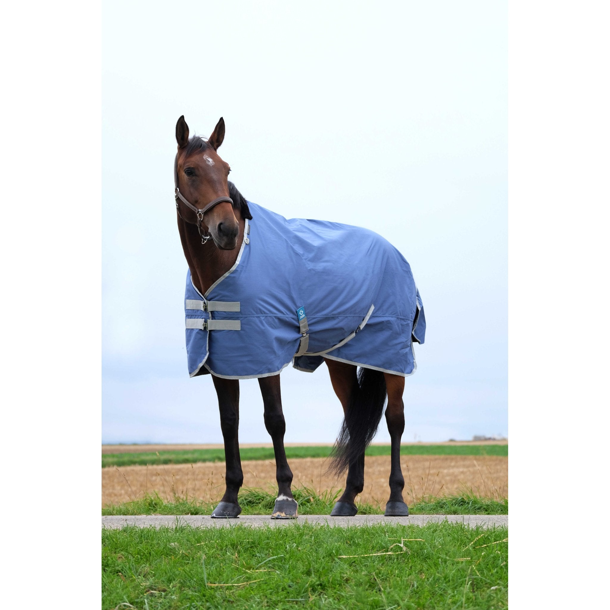 Equithème TYREX 600D återvunnet utetäcke 300 g