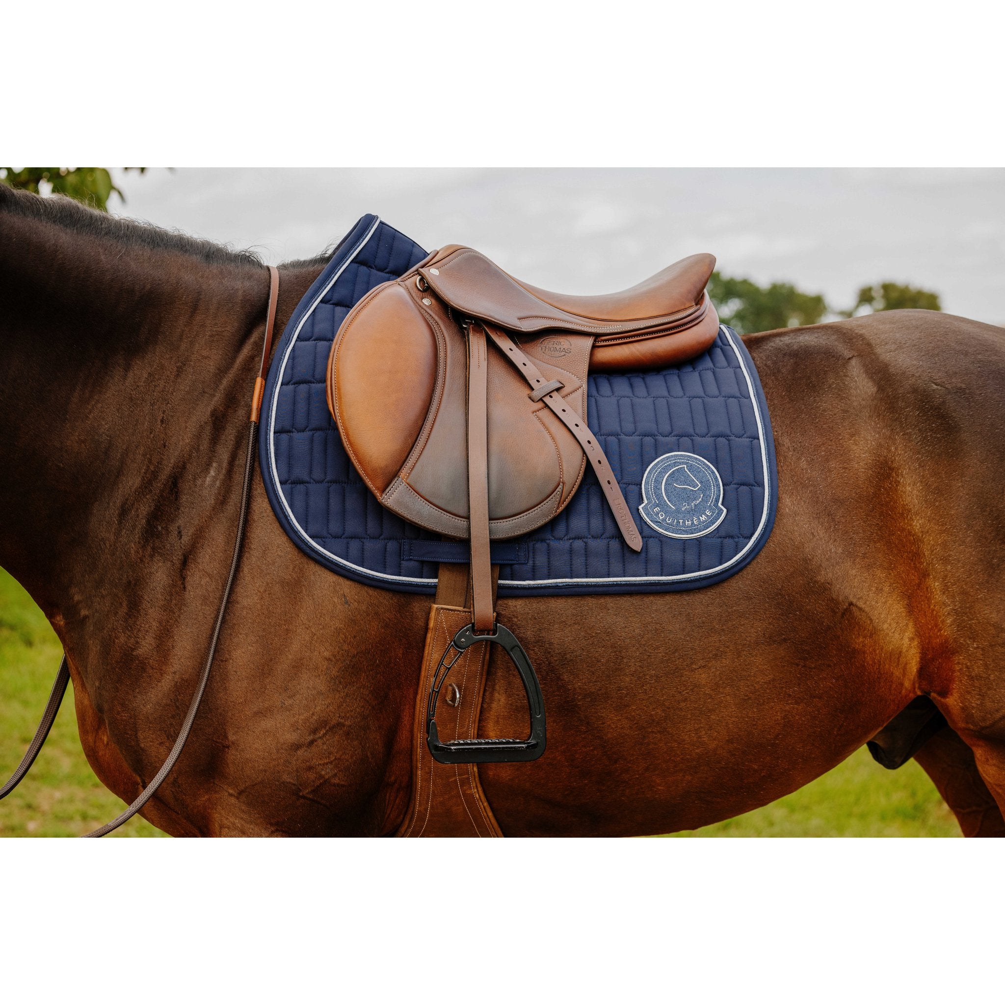 Je t'aime Equithème Compet Schabrak