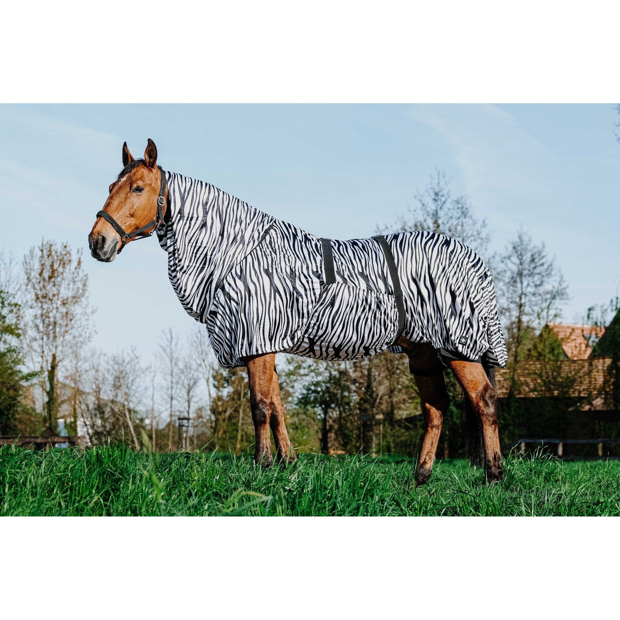 RIDING WORLD Anti-eksemtäcke zebra