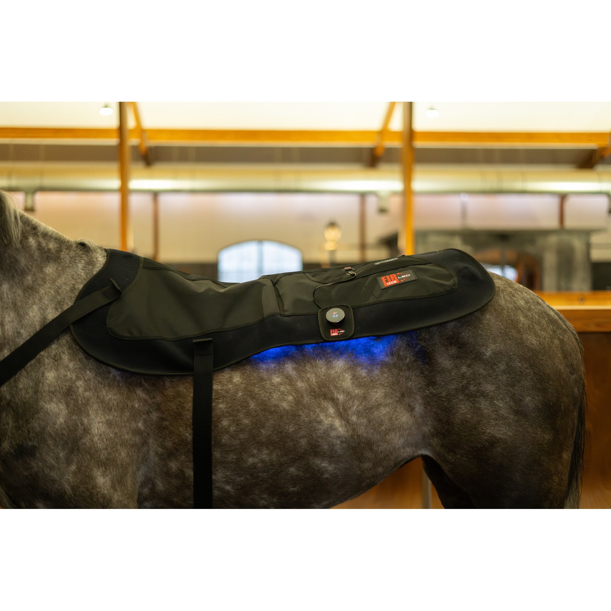 CATAGO FIR-Tech LED Therapy Pad