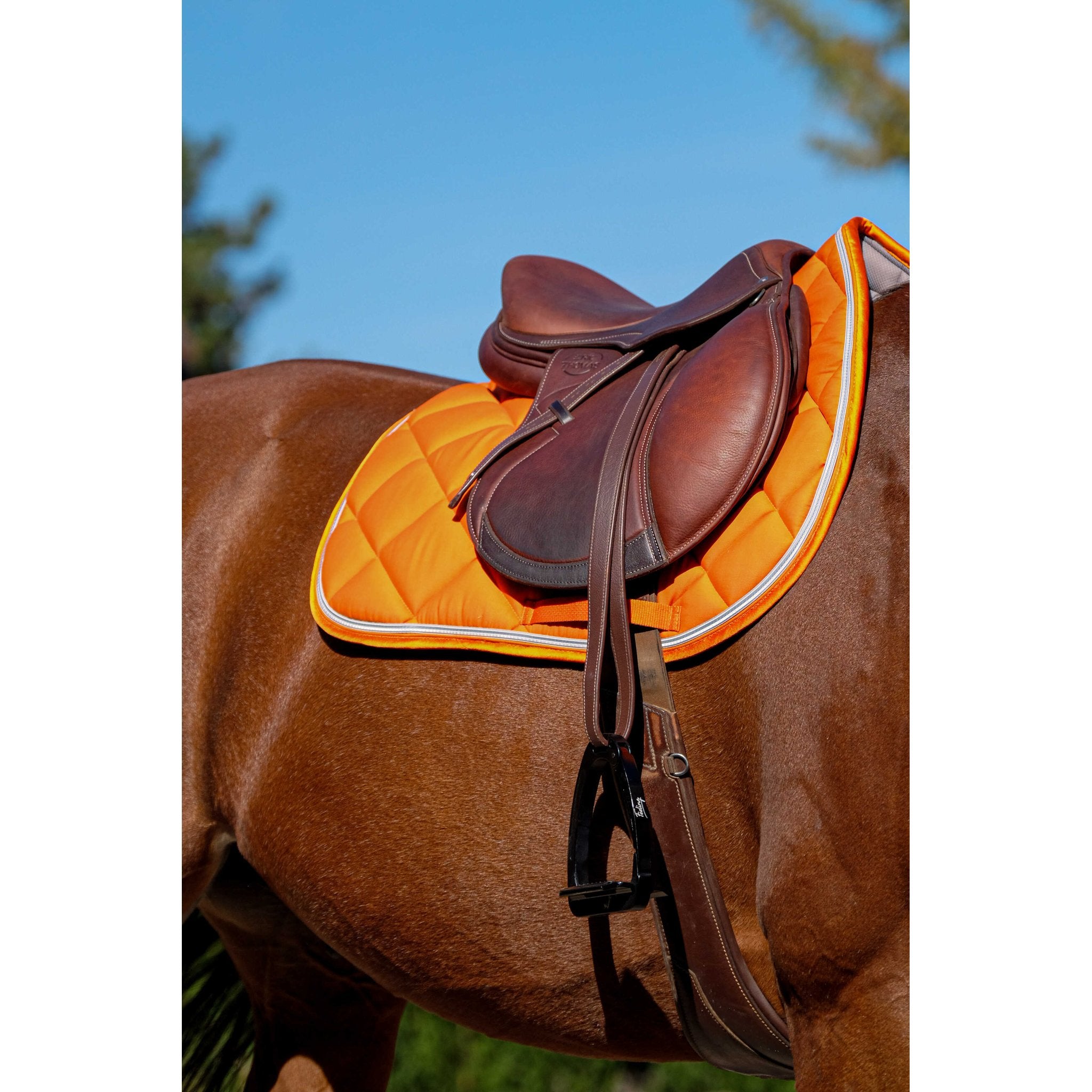 Equithème Classic Schabrak