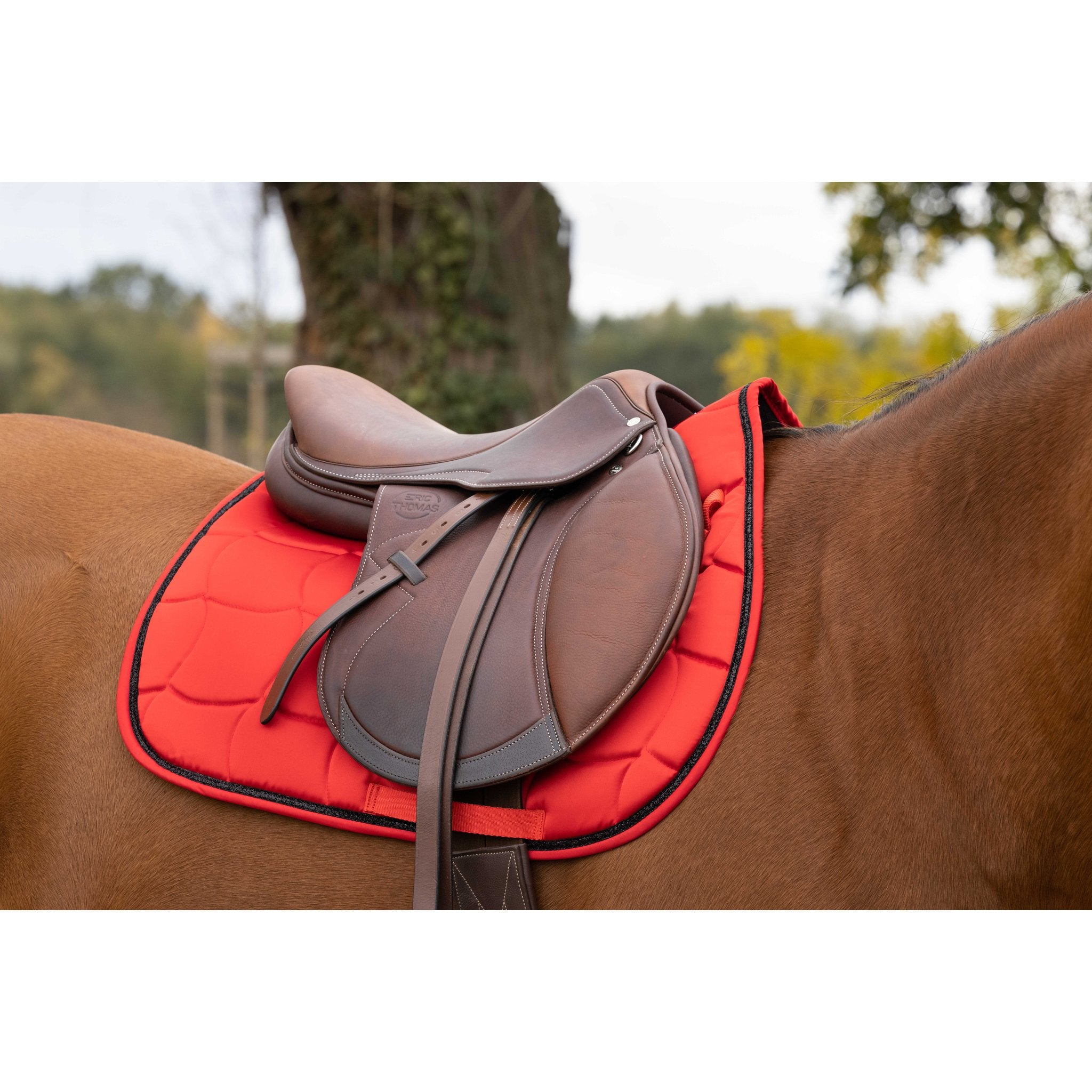 Equithème Satin Schabrak