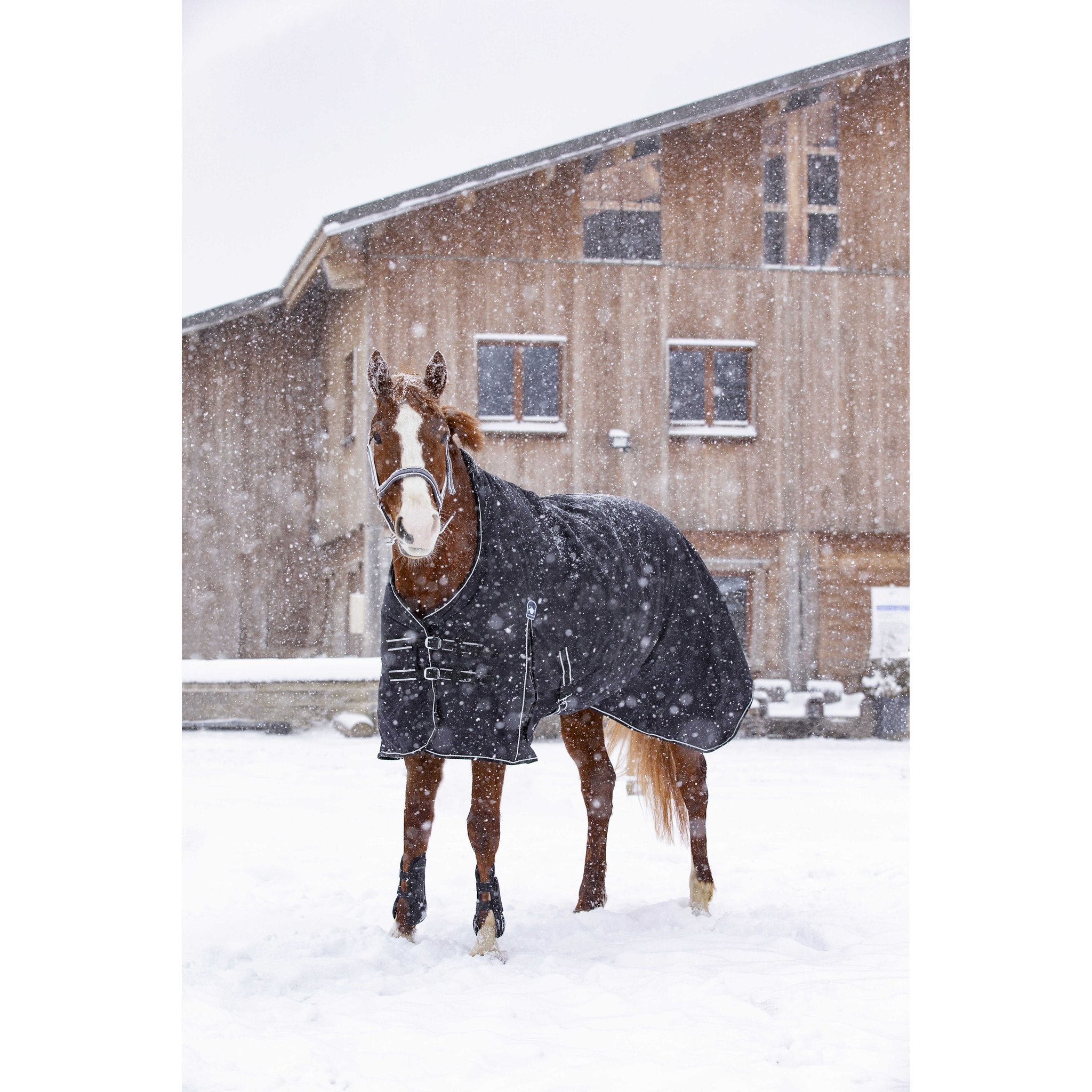 RIDING WORLD - Oxford - Regntäcke 220 g