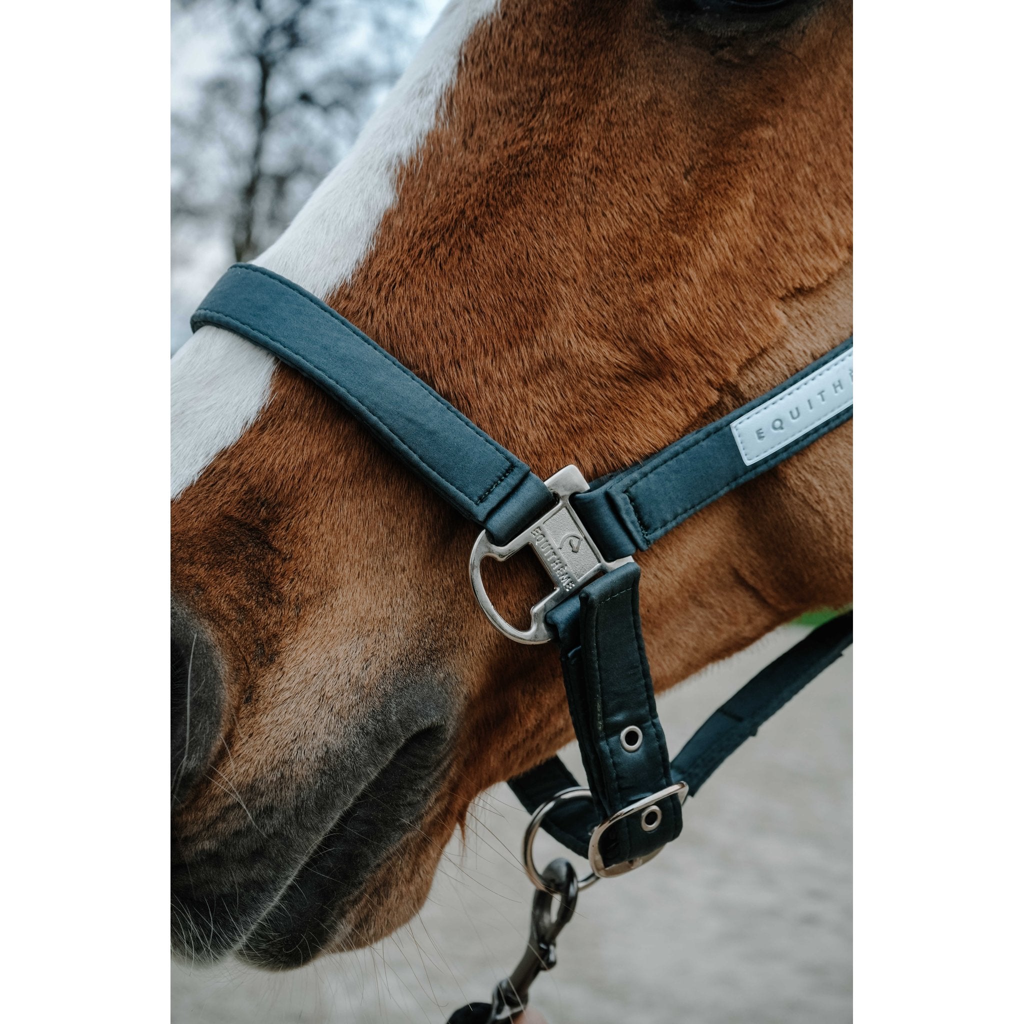Equitheme Opal grimma